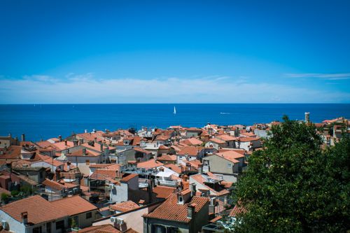 Free A picturesque view of Piran's terracotta rooftops and the Adriatic Sea under a clear blue sky. Stock Photo
