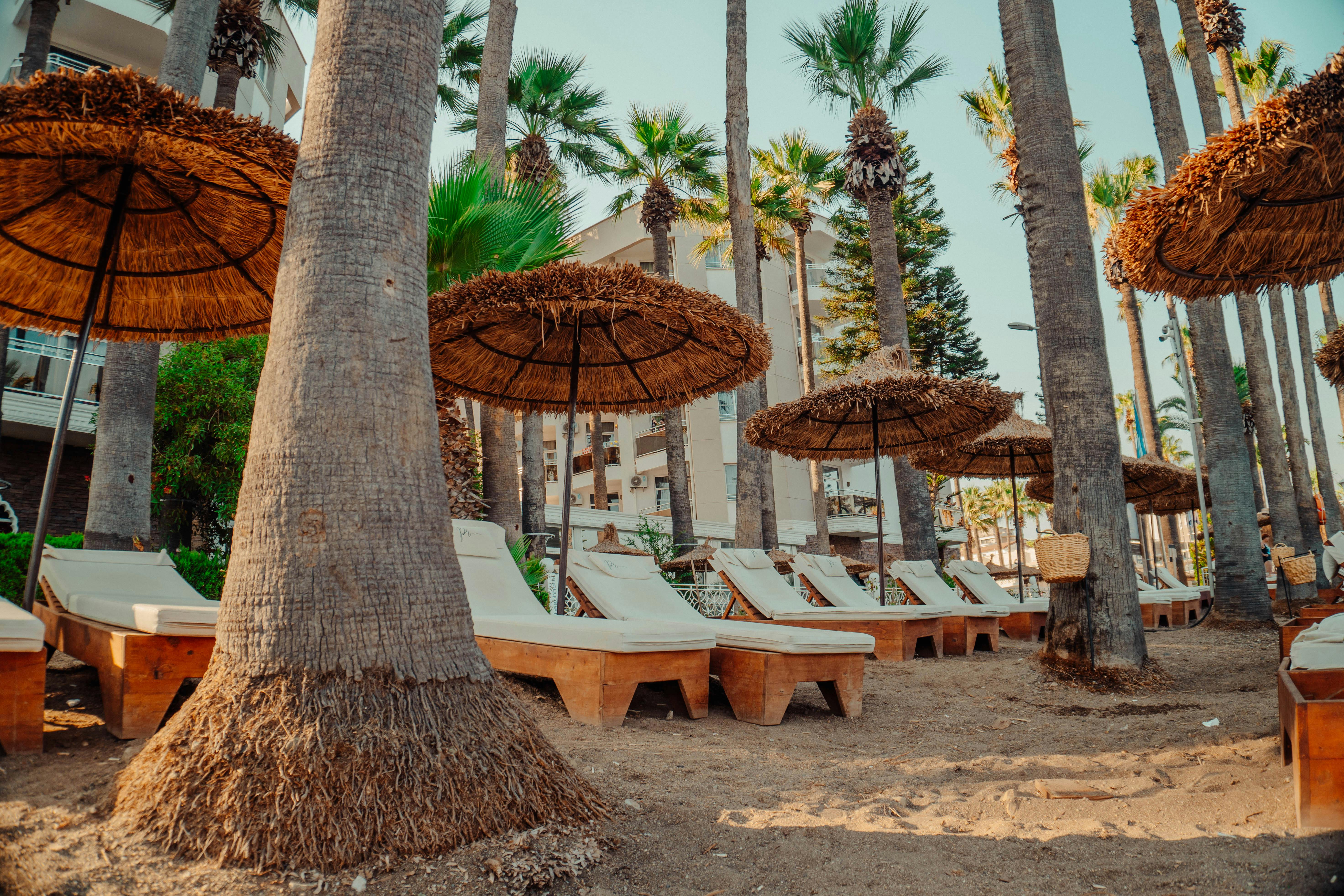 無料 晴れた日は、ヤシの木と藁のパラソルの下、ビーチサイドのリゾートでリラックスしましょう。 写真素材
