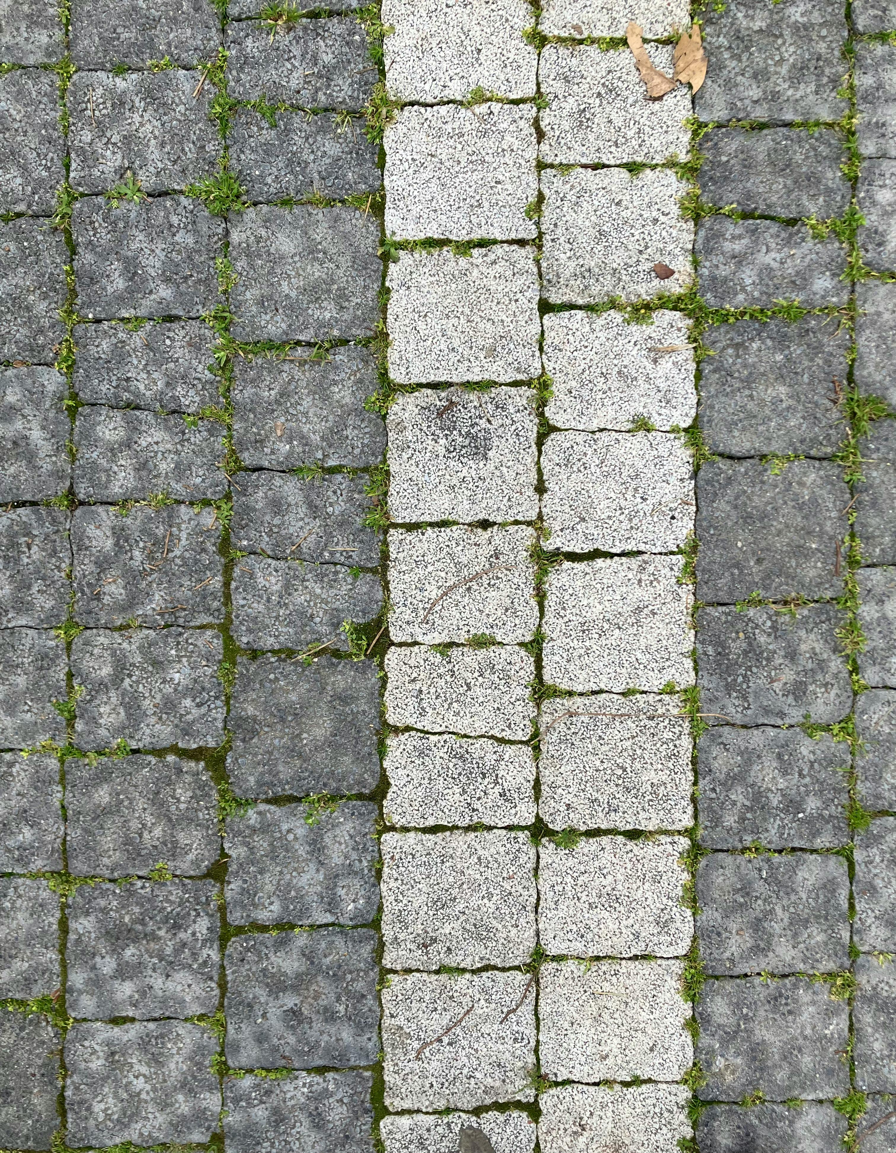 Ücretsiz Yosunlarla kaplı gri ve beyaz kaldırım taşlarının oluşturduğu dokulu desenin detaylı bir görünümü. Stok Fotoğraflar