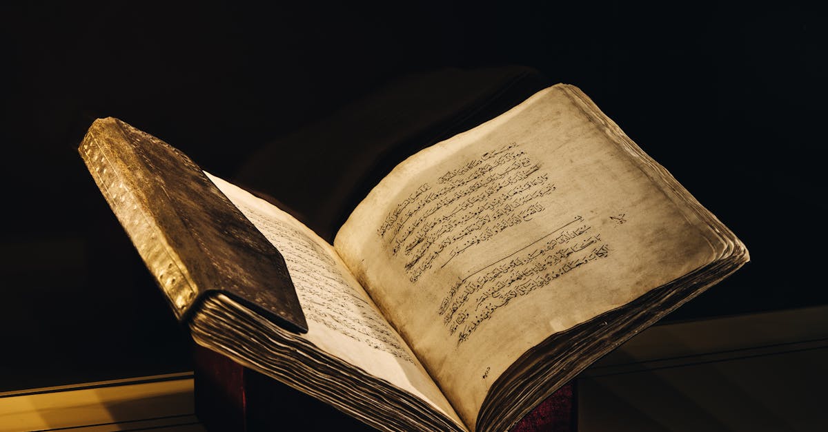 國際:你該知道的學者倡議組如何共同抗衡大陸霸權