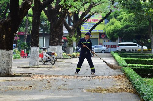 Free A maintenance worker sweeps fallen leaves in a green urban park on a sunny day. Stock Photo