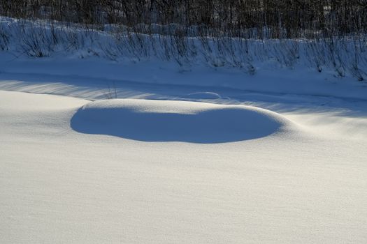 Serene winter scene featuring pristine snow and soft shadows under a clear sky.