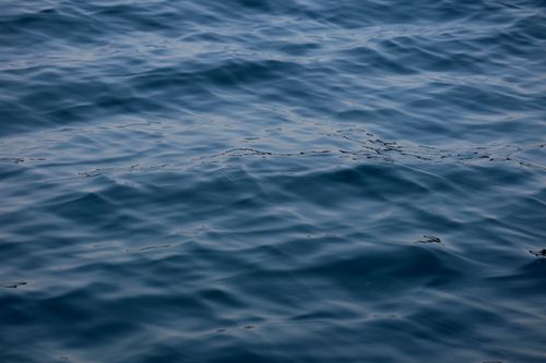 Free Serene close-up view of blue ocean water with gentle ripples under daylight. Stock Photo