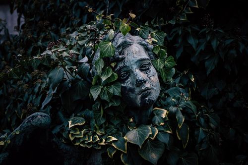 Free A haunting stone bust covered with lush green ivy, evoking a mysterious and eerie ambiance. Stock Photo