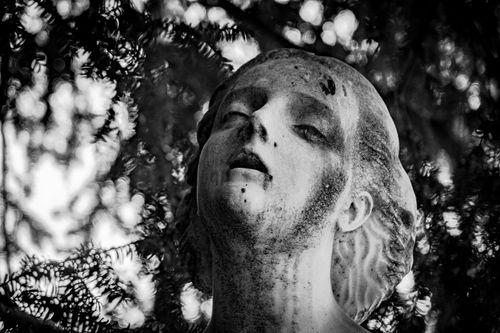 Free A close-up of a weathered statue head in nature, captured in black and white. Stock Photo