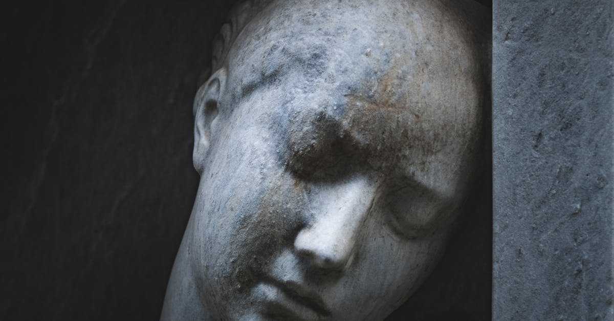 國際:你該知道的學者倡議組如何共同抗衡大陸霸權