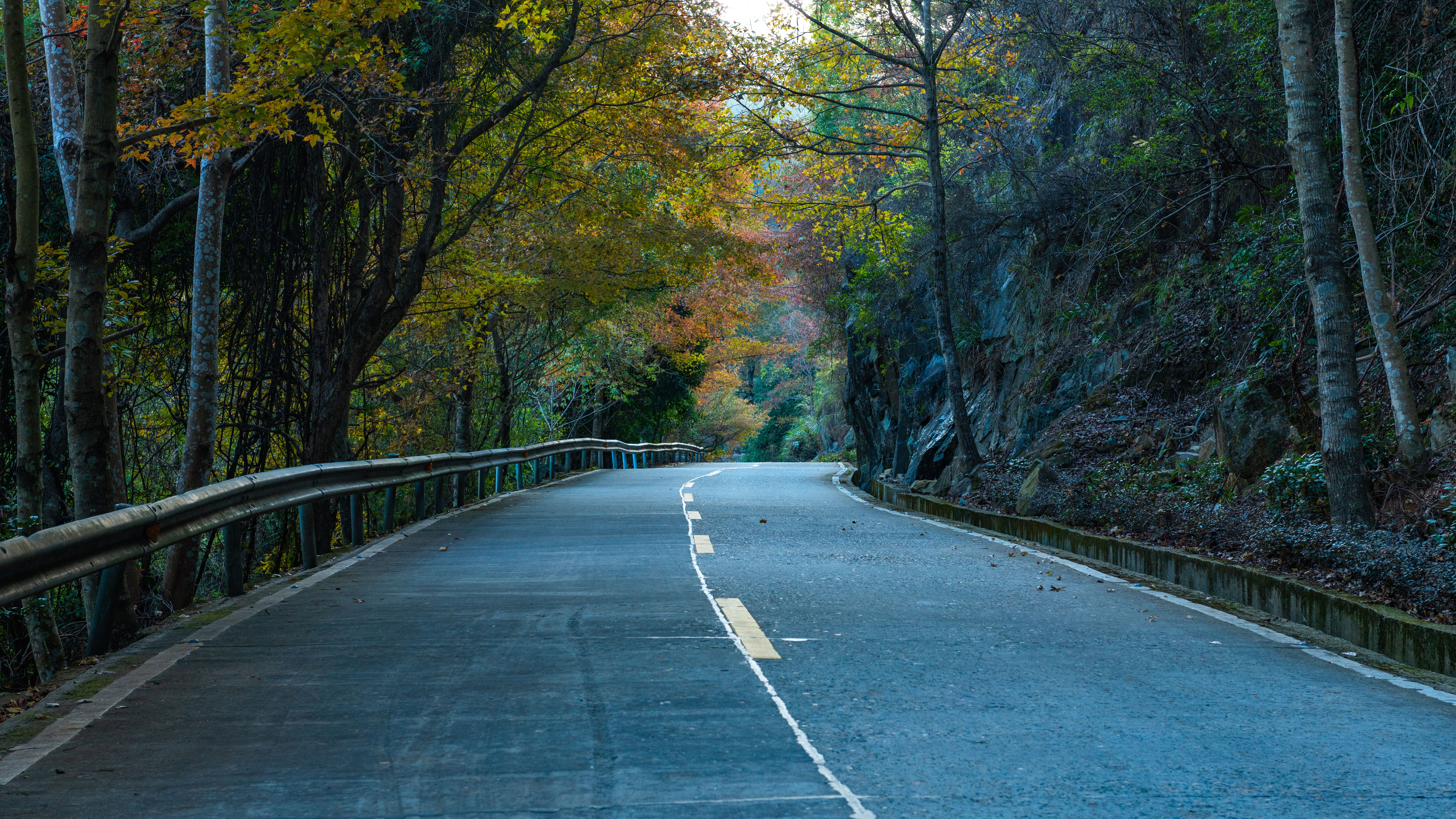 Photo by 中央 水 on Pexels