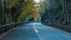Scenic Autumn Road Surrounded by Colorful Foliage