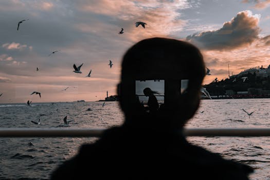 Silhouette with sea and seagulls at sunset reflecting in smartphone screen.