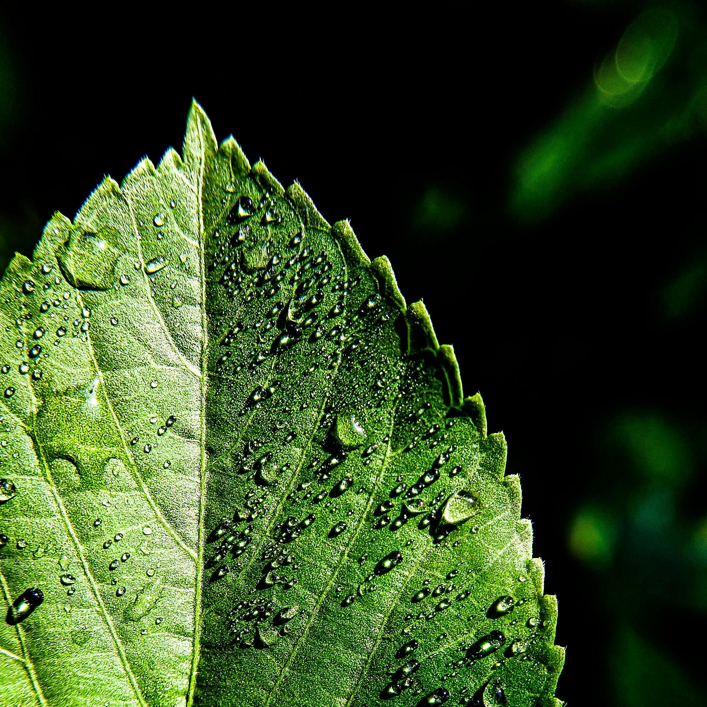 Mithul Varshan · Photography