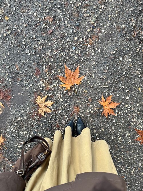 Free Top-down view of fallen autumn leaves on wet pavement and boots in Gaziantep. Stock Photo