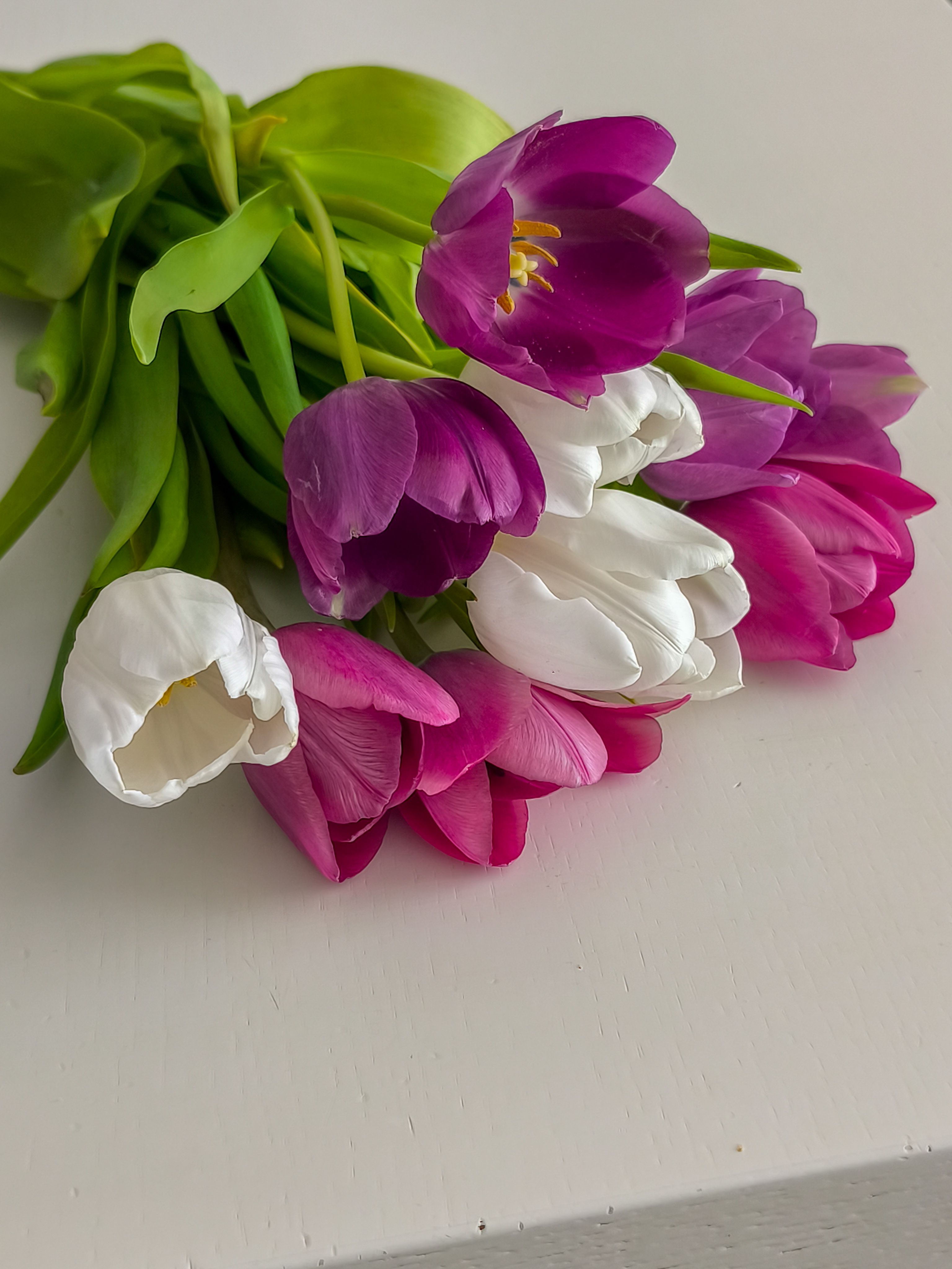 A beautiful arrangement of pink and white tulips captured on a neutral background.