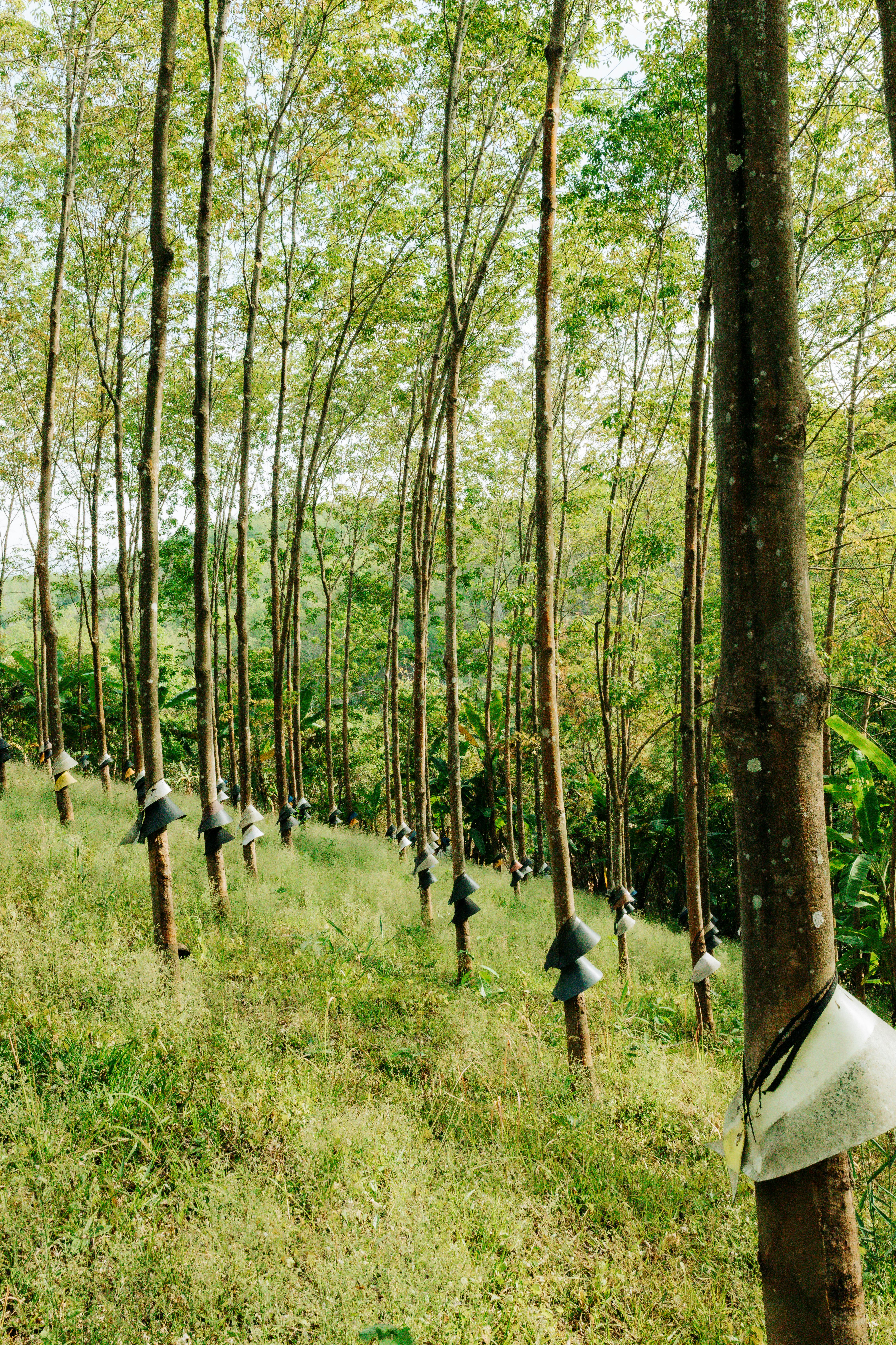 Biofarm insights image