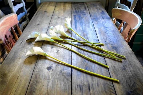 grátis Flores De Lírio Branco Da Paz Na Mesa Foto profissional