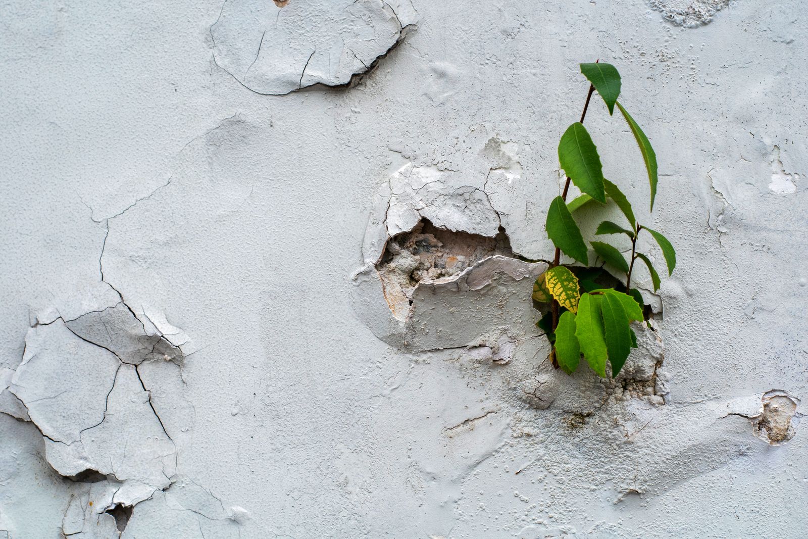 Post-Traumatic Growth - Finding Strength After Adversity