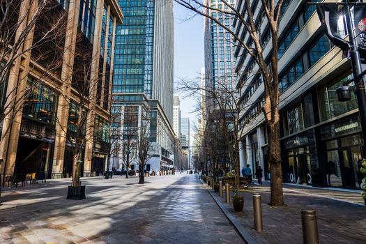 Downtown city street lined with modern skyscrapers and bare trees, a bustling urban scene.