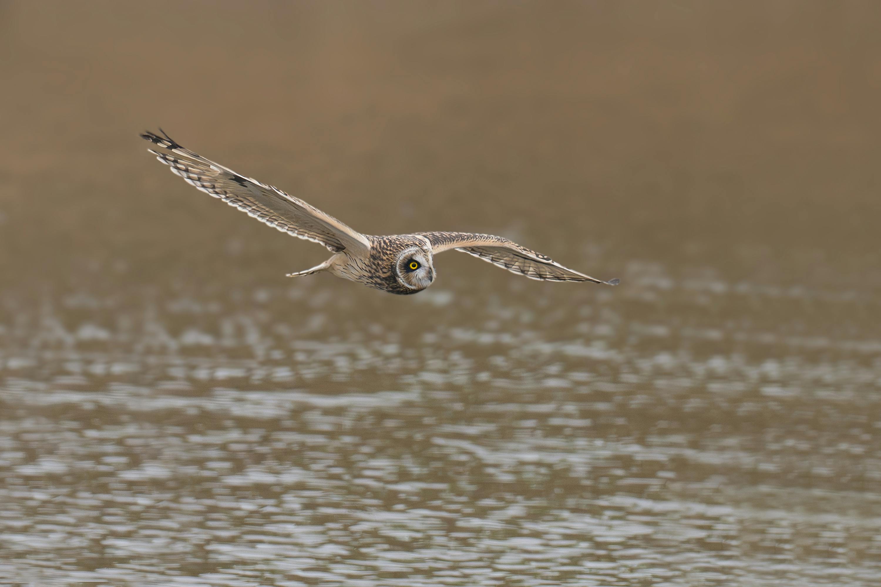 Gratis Foto stok gratis adegan damai, air biru, alam Foto Stok