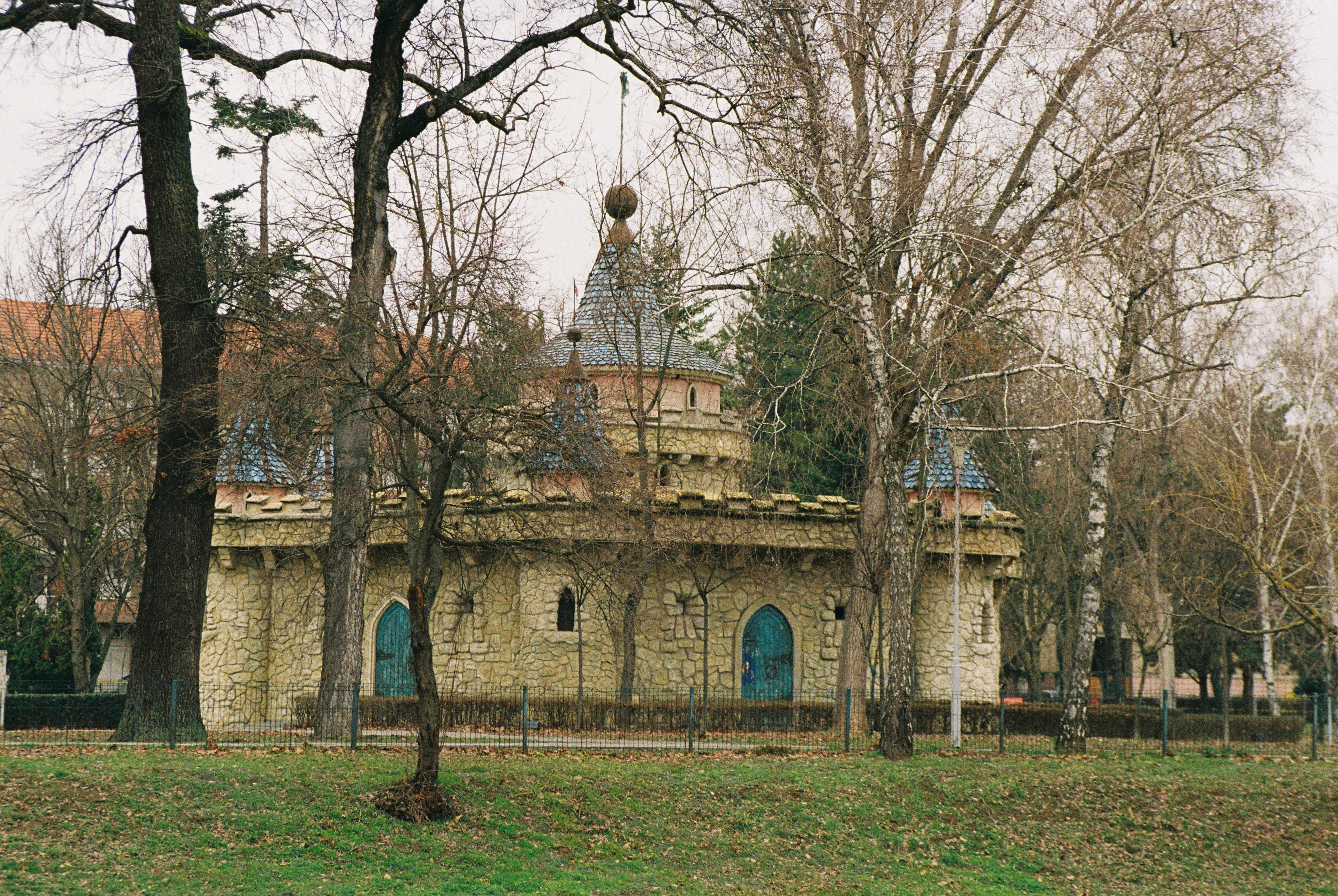 How to Train Around Injuries Without Losing Progress