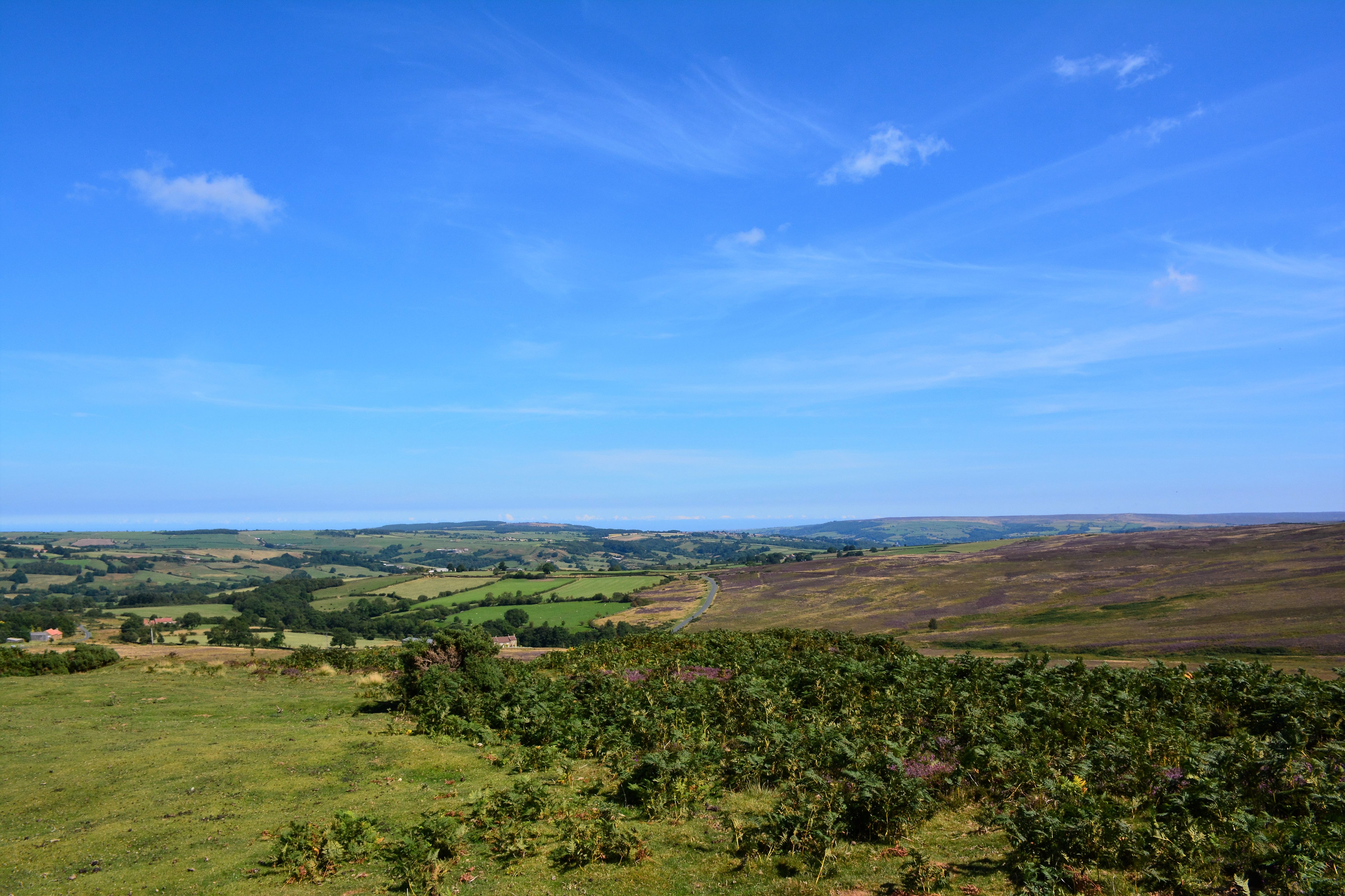 Free stock photo of moorland, moorland blue sky, north york moors