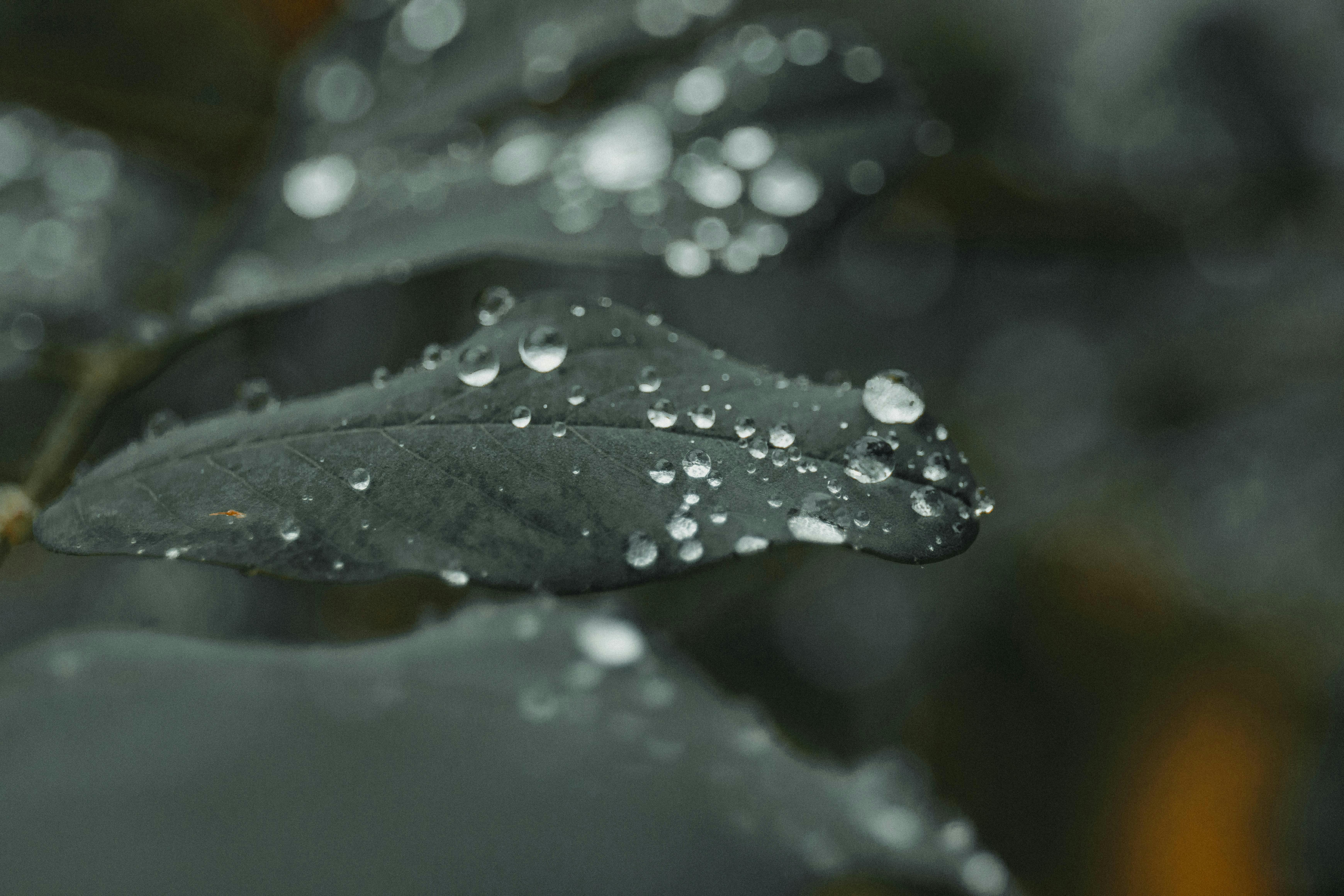 De franc Foto d'estoc gratuïta de @outdoor, ambiental, bellesa natural Foto d'estoc