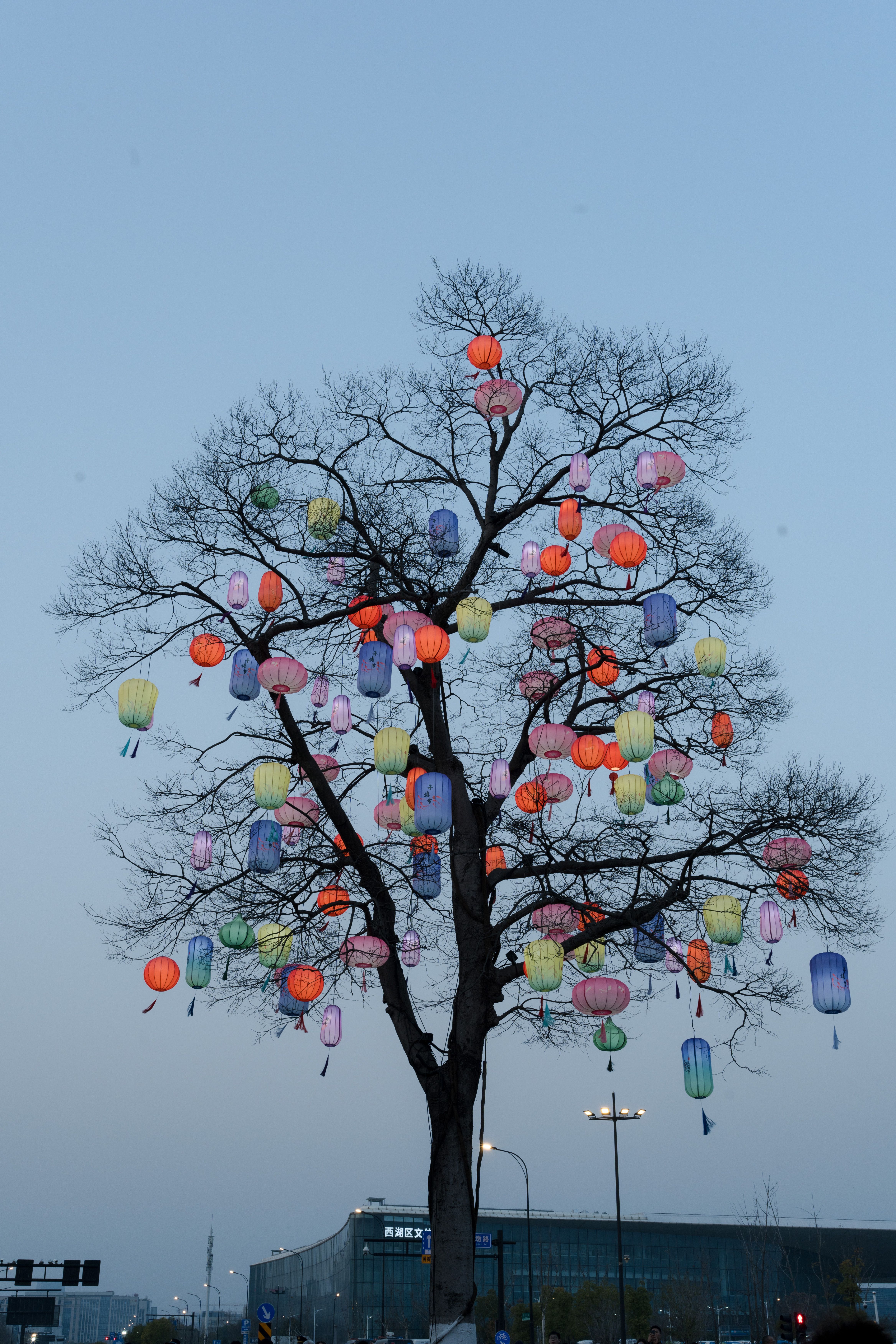 Colorful Lanterns Adorn Tree at Dusk · Free Stock Photo