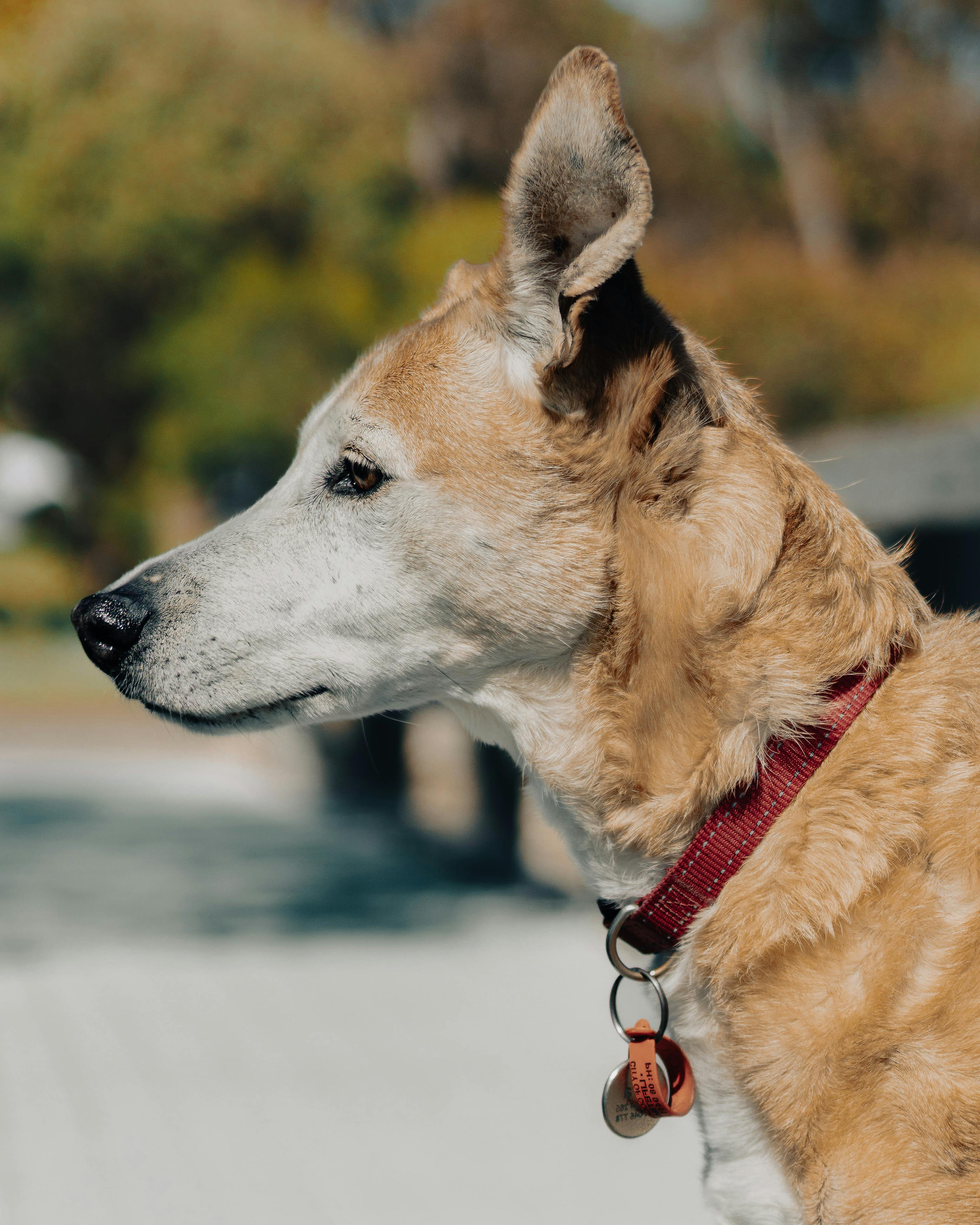 Top 10 Outdoor-Smartwatches 2026: Test & Vergleich