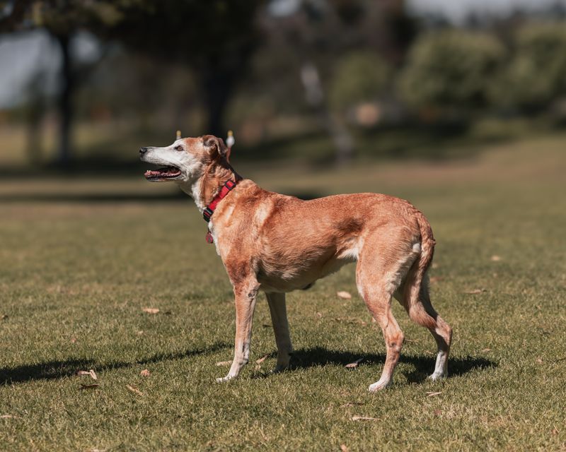 Wally - photo 1