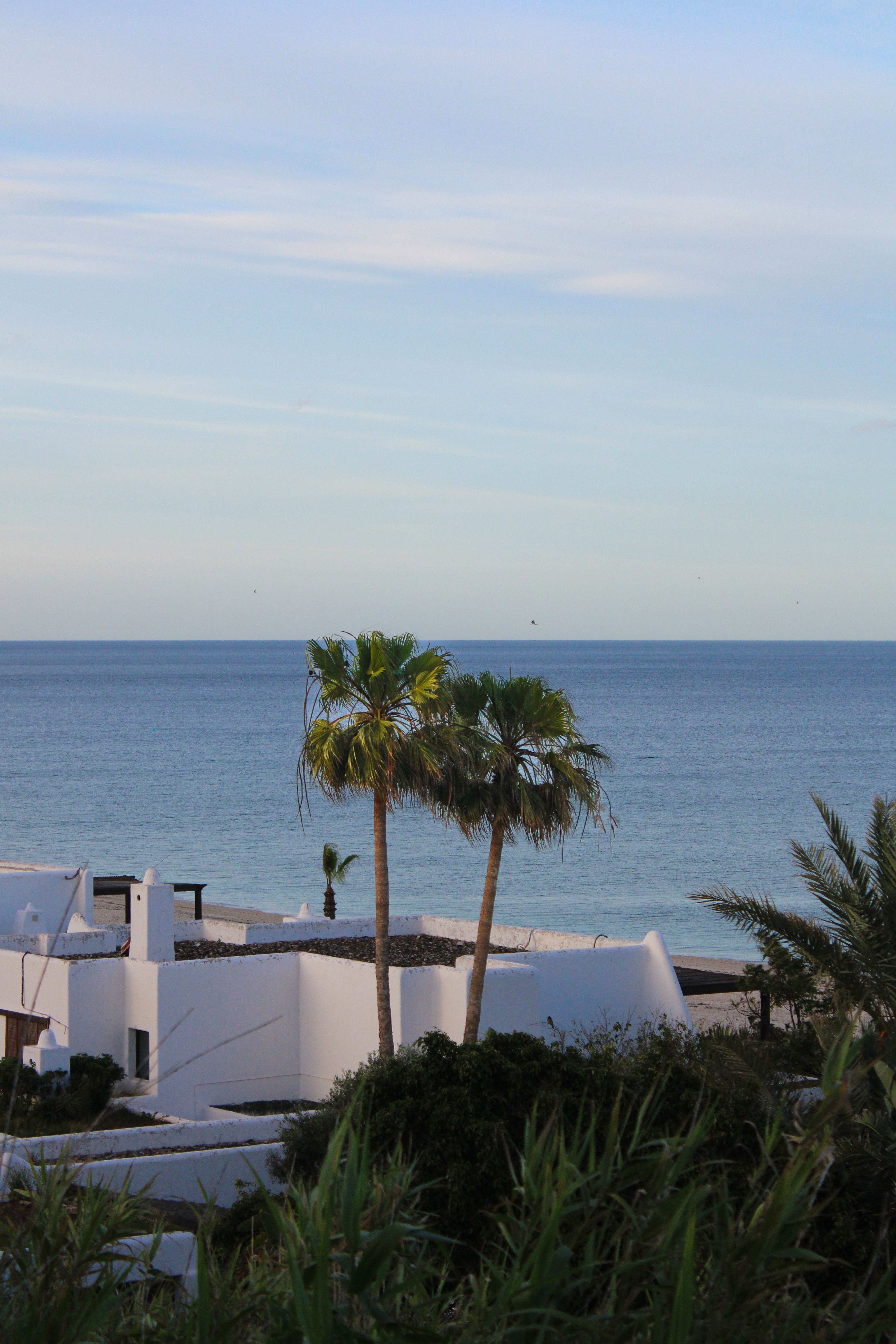 ¡Oferta bomba: hotel 4* con desayuno por solo 54€ en Zahara de los Atunes!