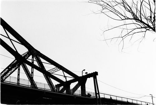 Free Artistic black and white silhouette of a bridge with a tree branch in the foreground. Stock Photo