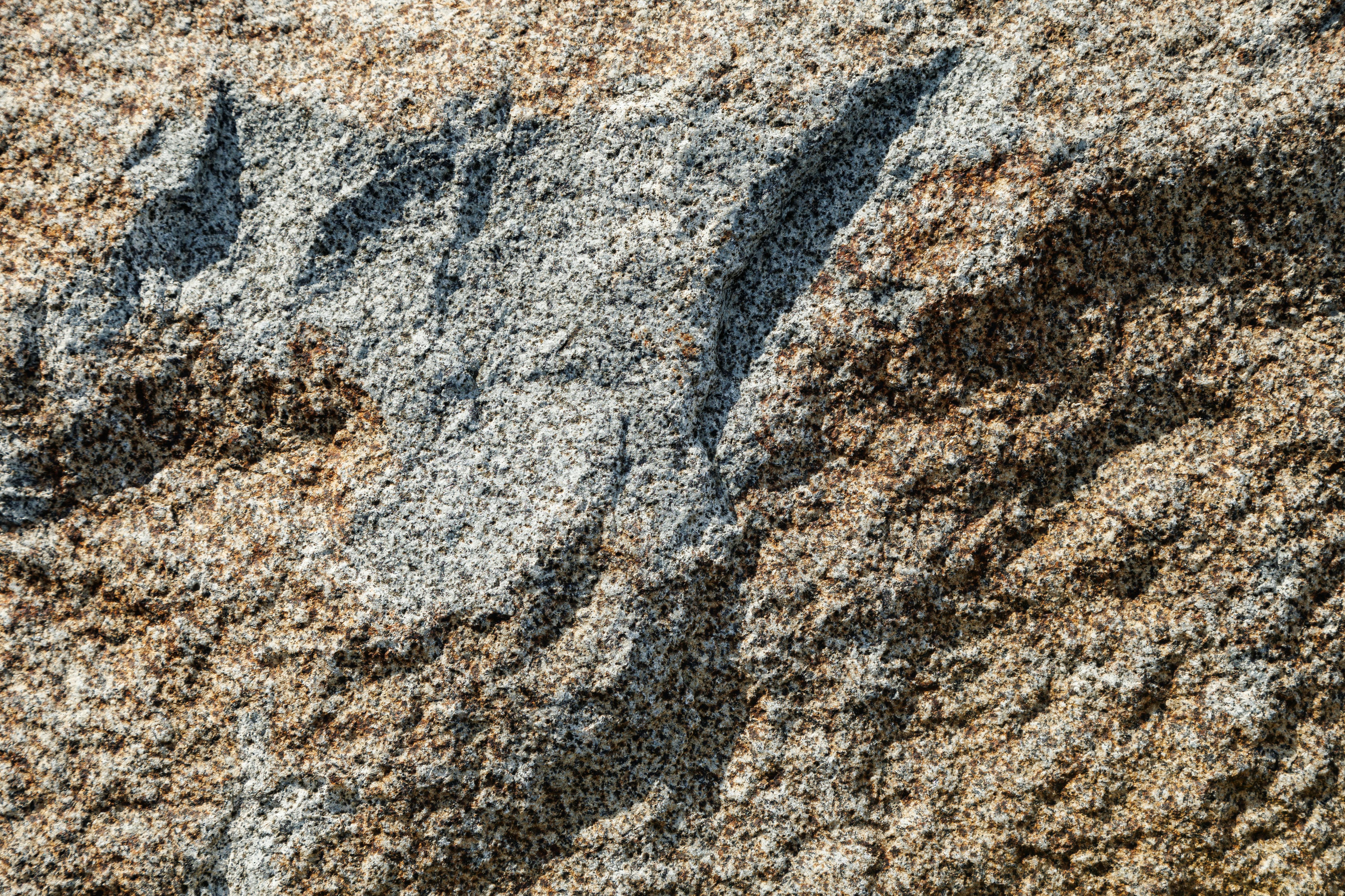 gratis Close-up van een gestructureerd granieten rotsoppervlak met natuurlijke patronen in aardse tinten. Stockfoto