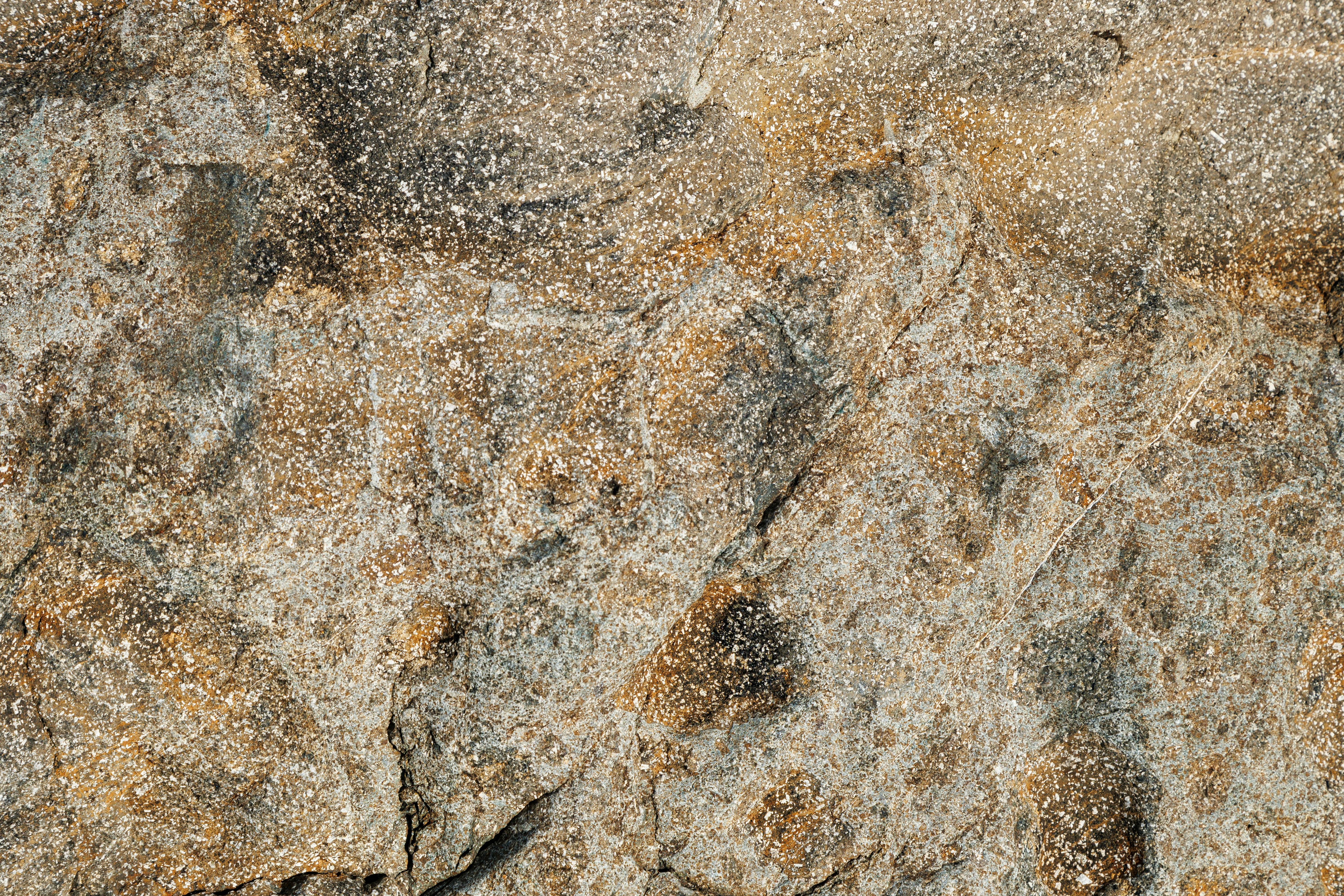 Kostnadsfria Detaljerad textur av en väderbiten stenyta med naturliga mönster och färger, perfekt för bakgrunder. Stock foto