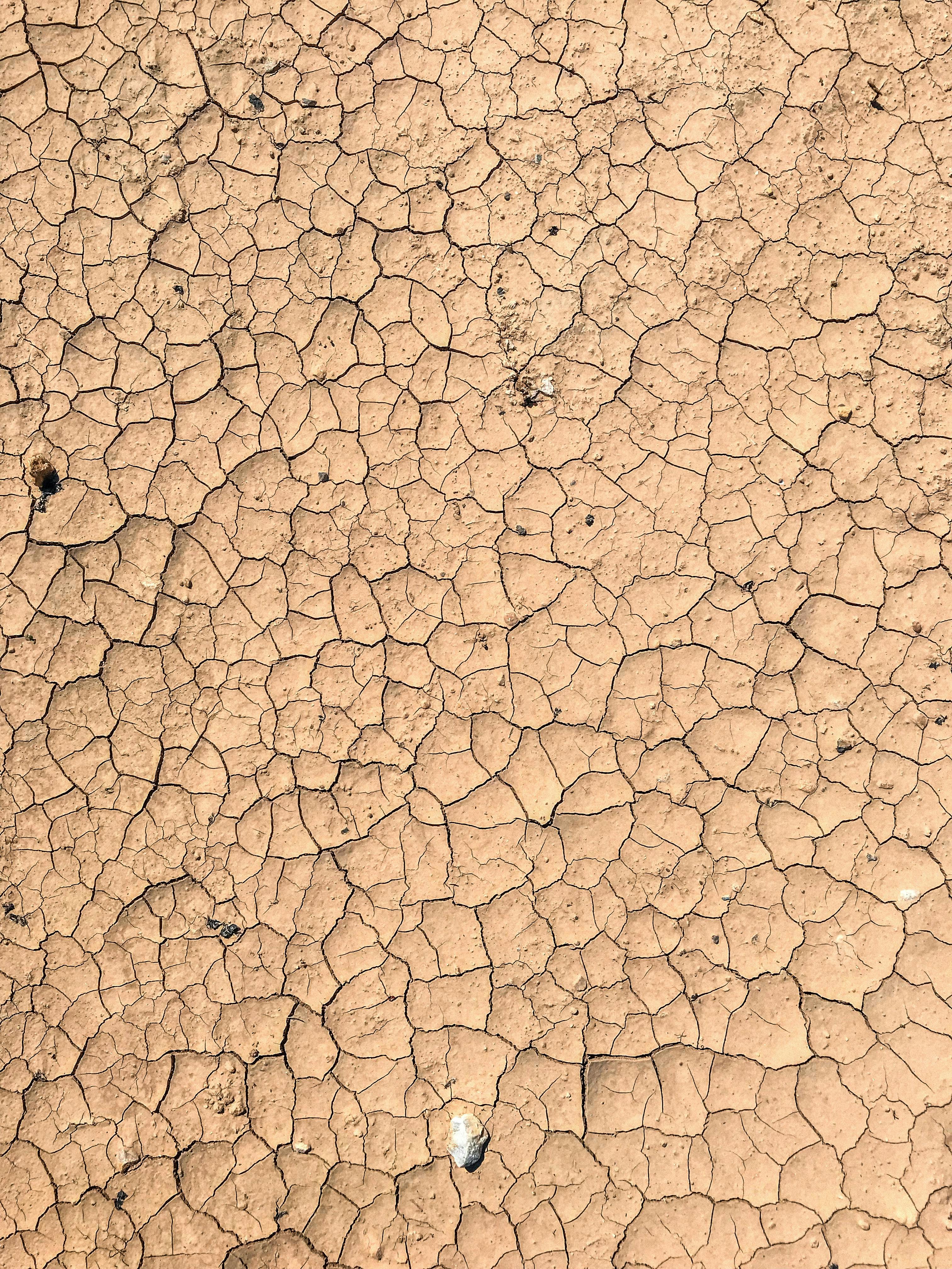 cracked desert seamless texture