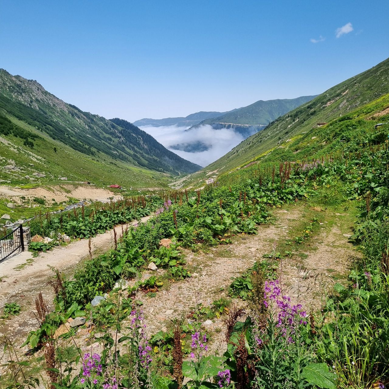 Kaçkar Mountains, Rize & Artvin, Türkiye