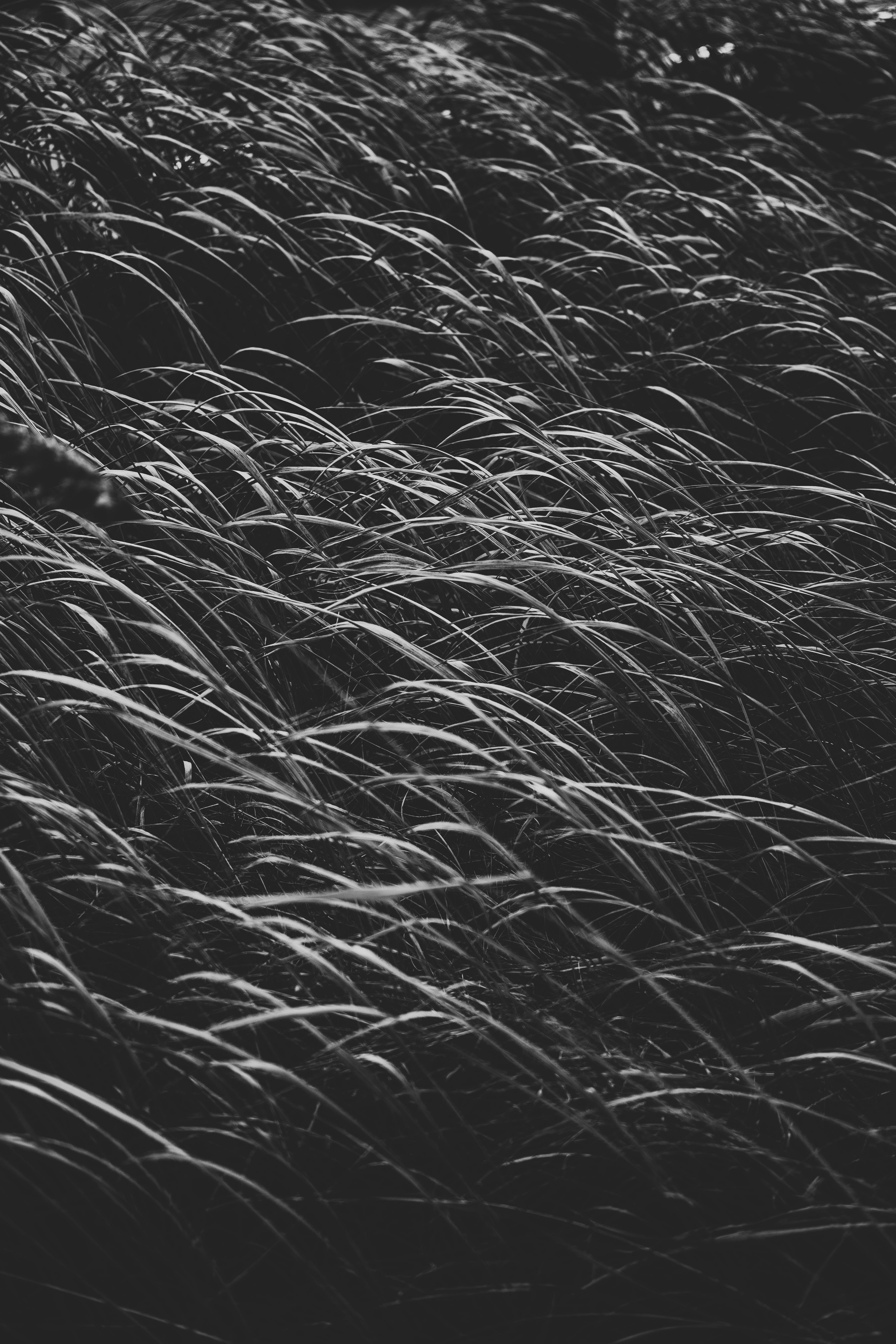 Gratis arkivbilde med @outdoor, abstrakt, åker Arkivbilde