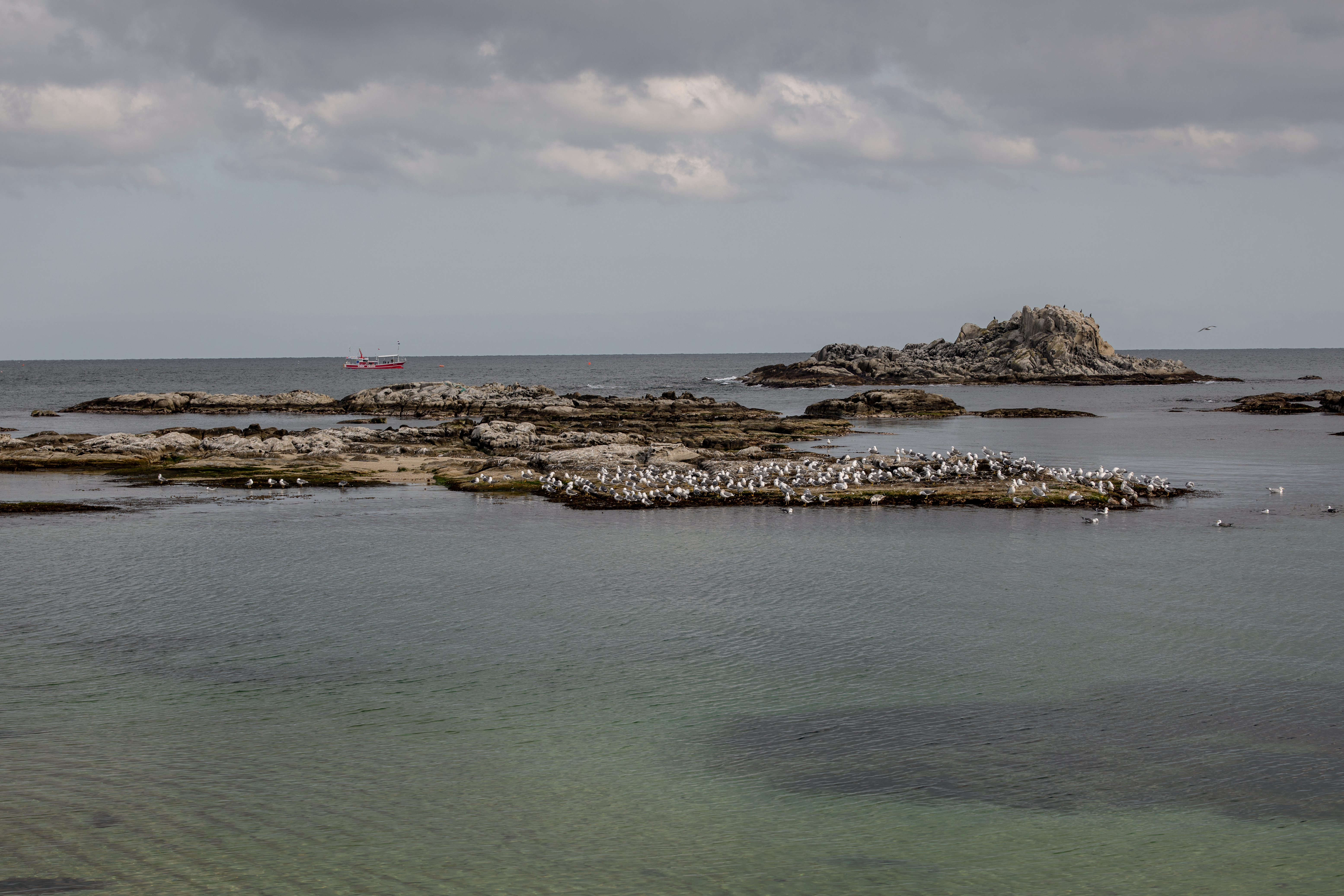 Pokémon Pokopia: Best Cloud Islands &amp; Developer Island Codes — Photo by 정규송 Nui MALAMA on Pexels