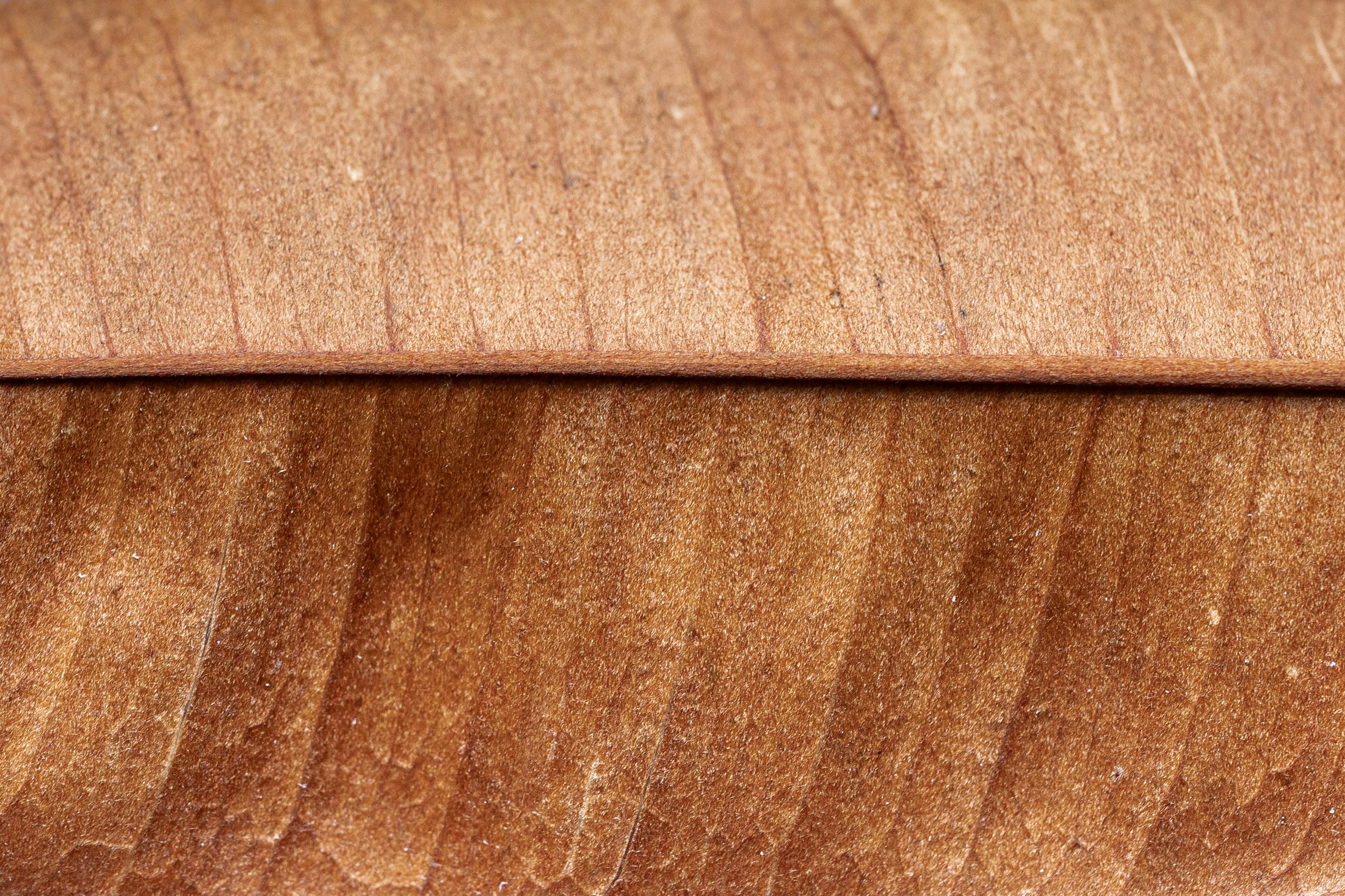 Free Detailed macro image highlighting the texture and lines of a dried leaf, showcasing natural patterns. Stock Photo