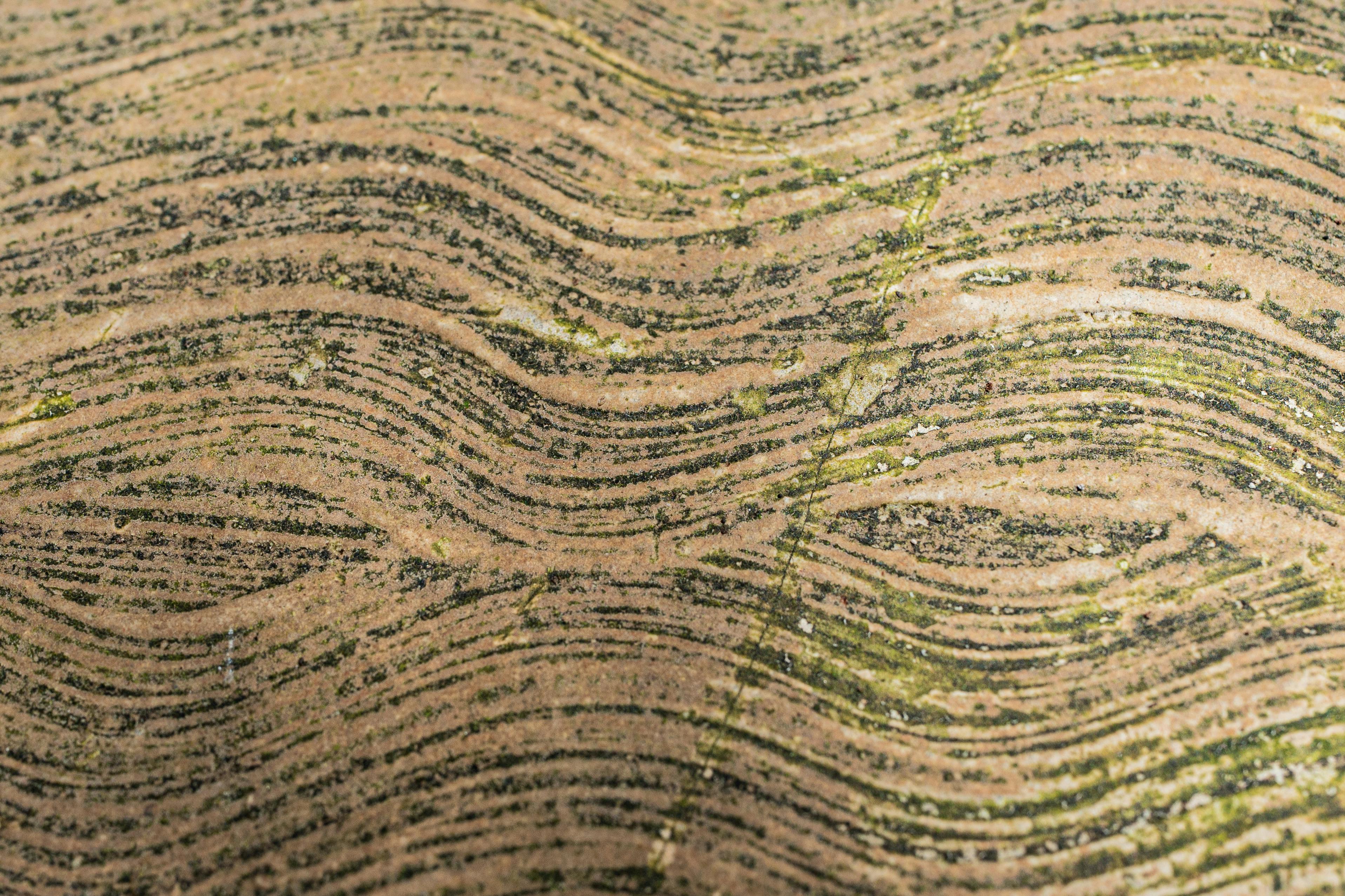 Gratuit Gros plan sur une surface rocheuse texturée présentant des lignes ondulées, ressemblant à des motifs naturels. Photos