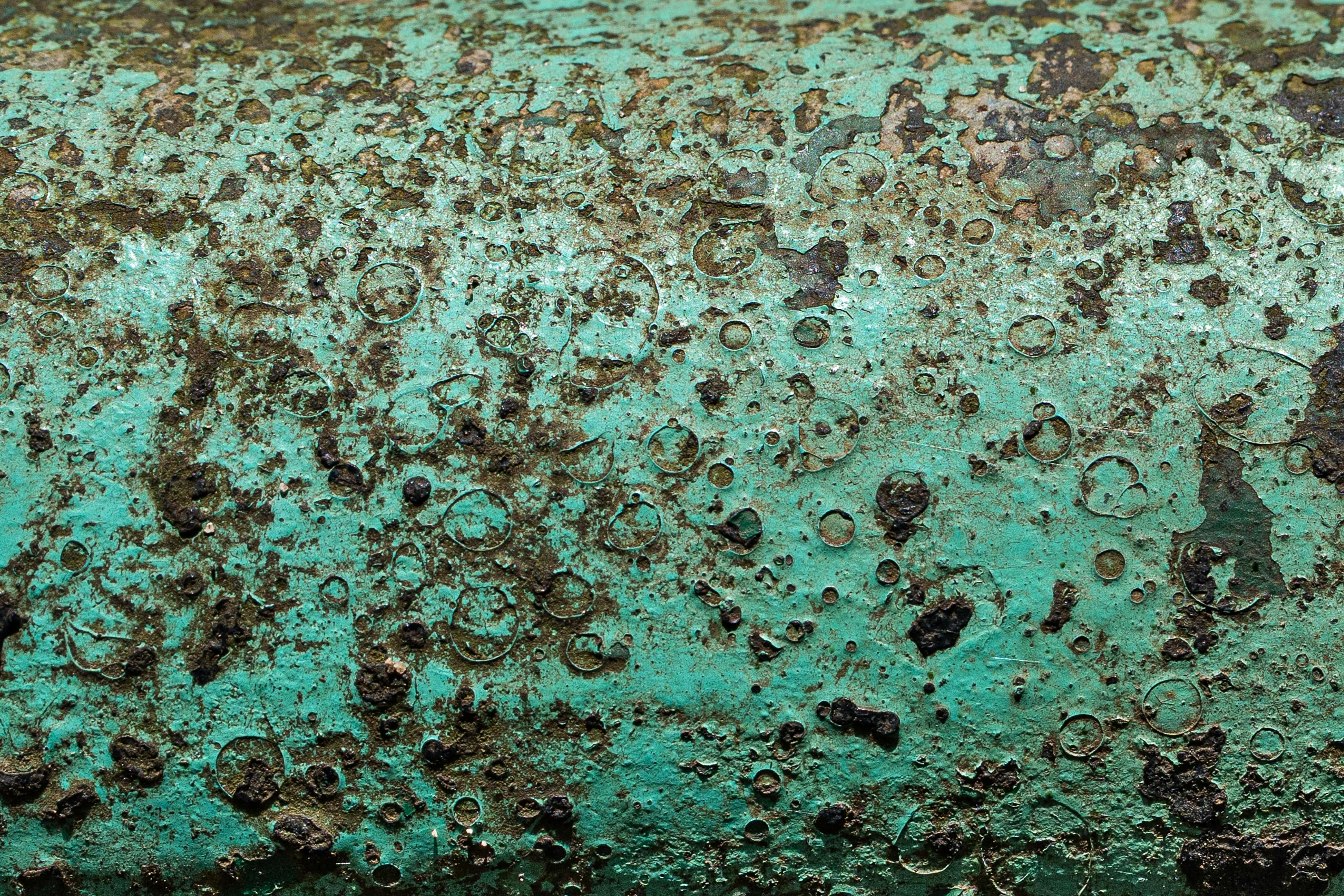 Mold Inspection & Testing service in Palatine, Illinois — technician inspecting wall for mold growth