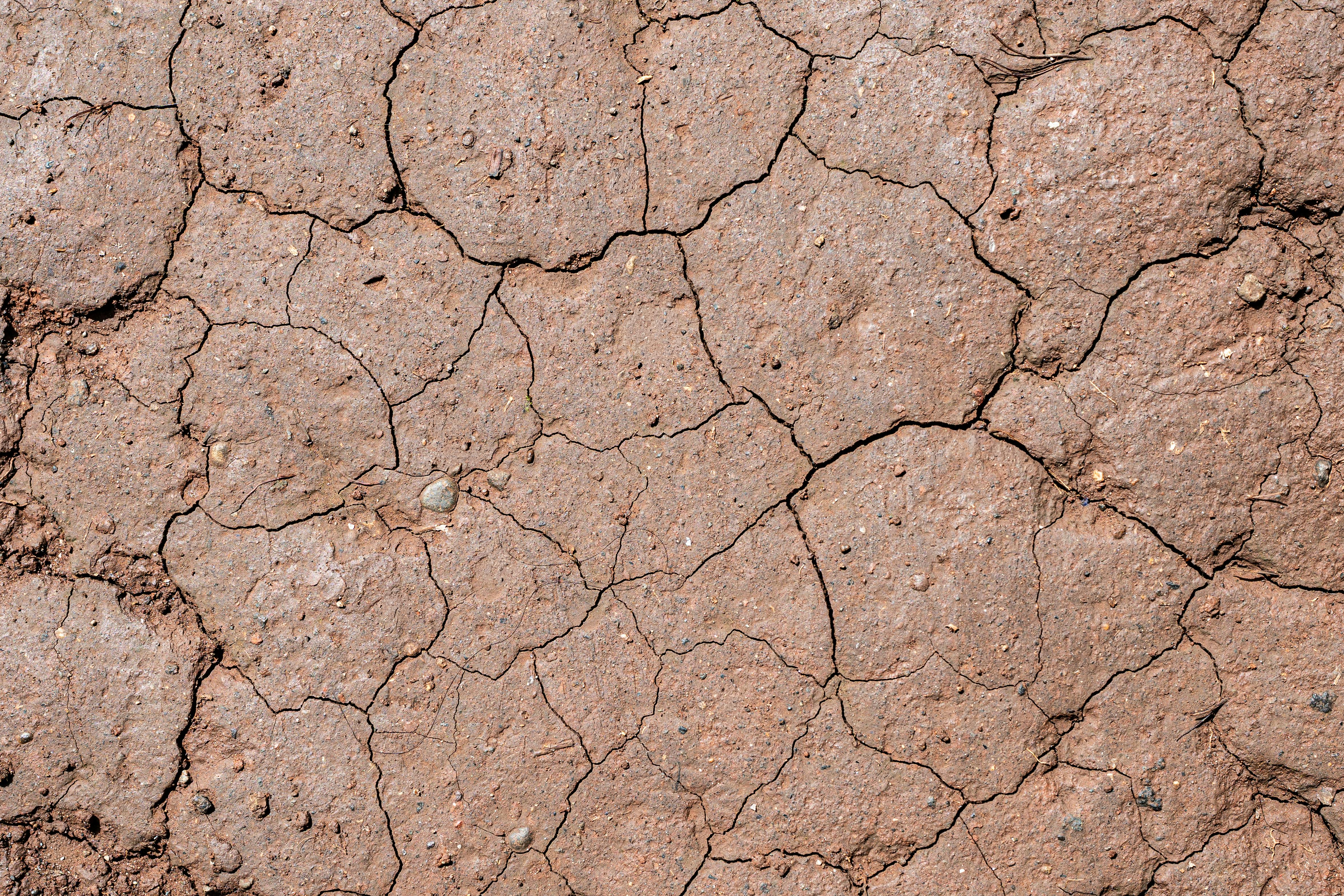 Indigenous Climate Resilience Network Lists Free UNEP-Recognized Drinking Water Infrastructure Planning Tool — Photo by Sandi