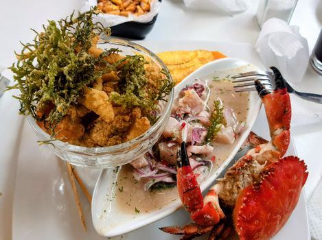 A vibrant seafood platter featuring fried calamari, ceviche, and a crab claw.