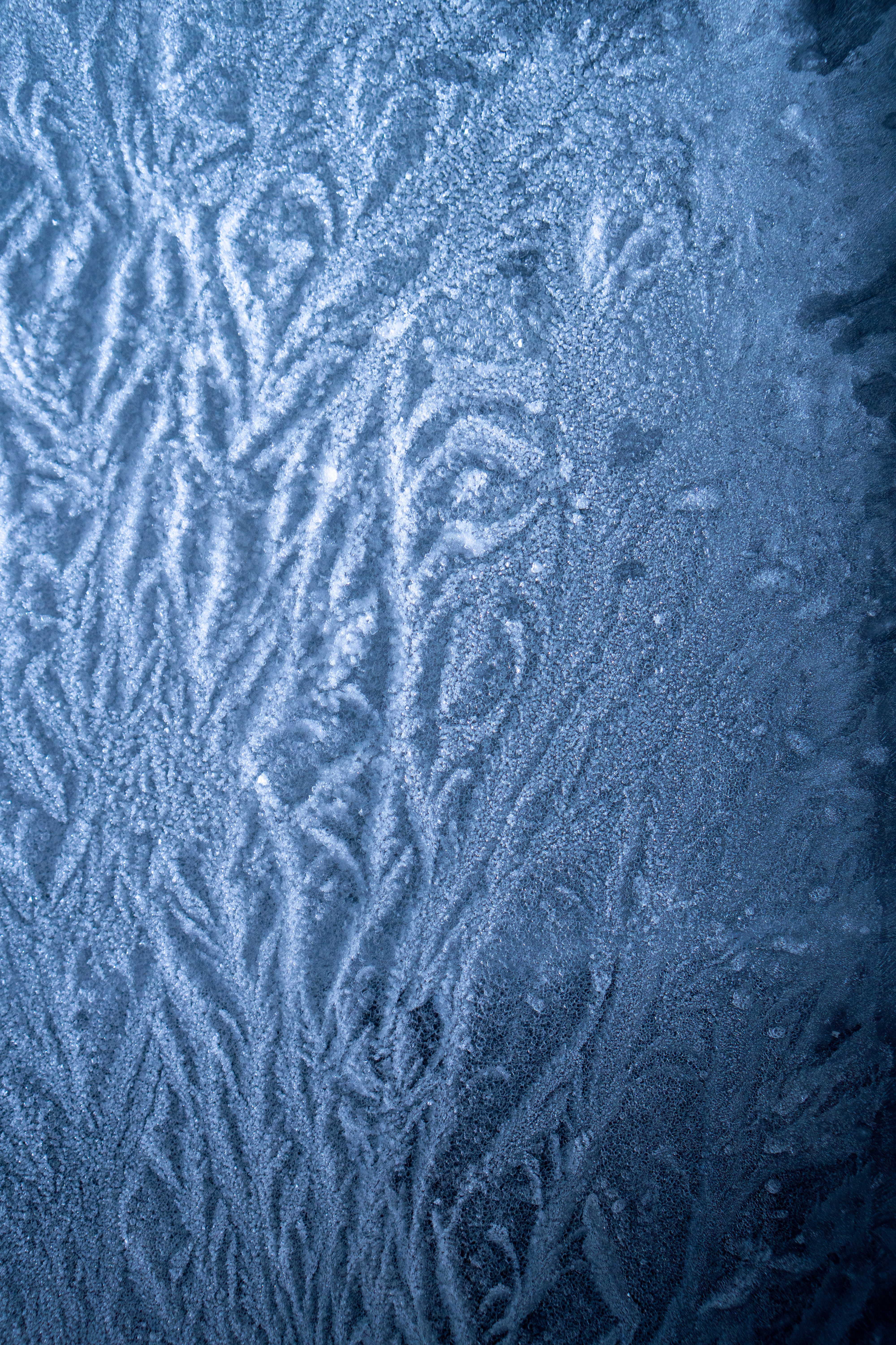 Captivating ice texture featuring intricate, natural patterns in a cool blue hue, ideal for backgrounds.