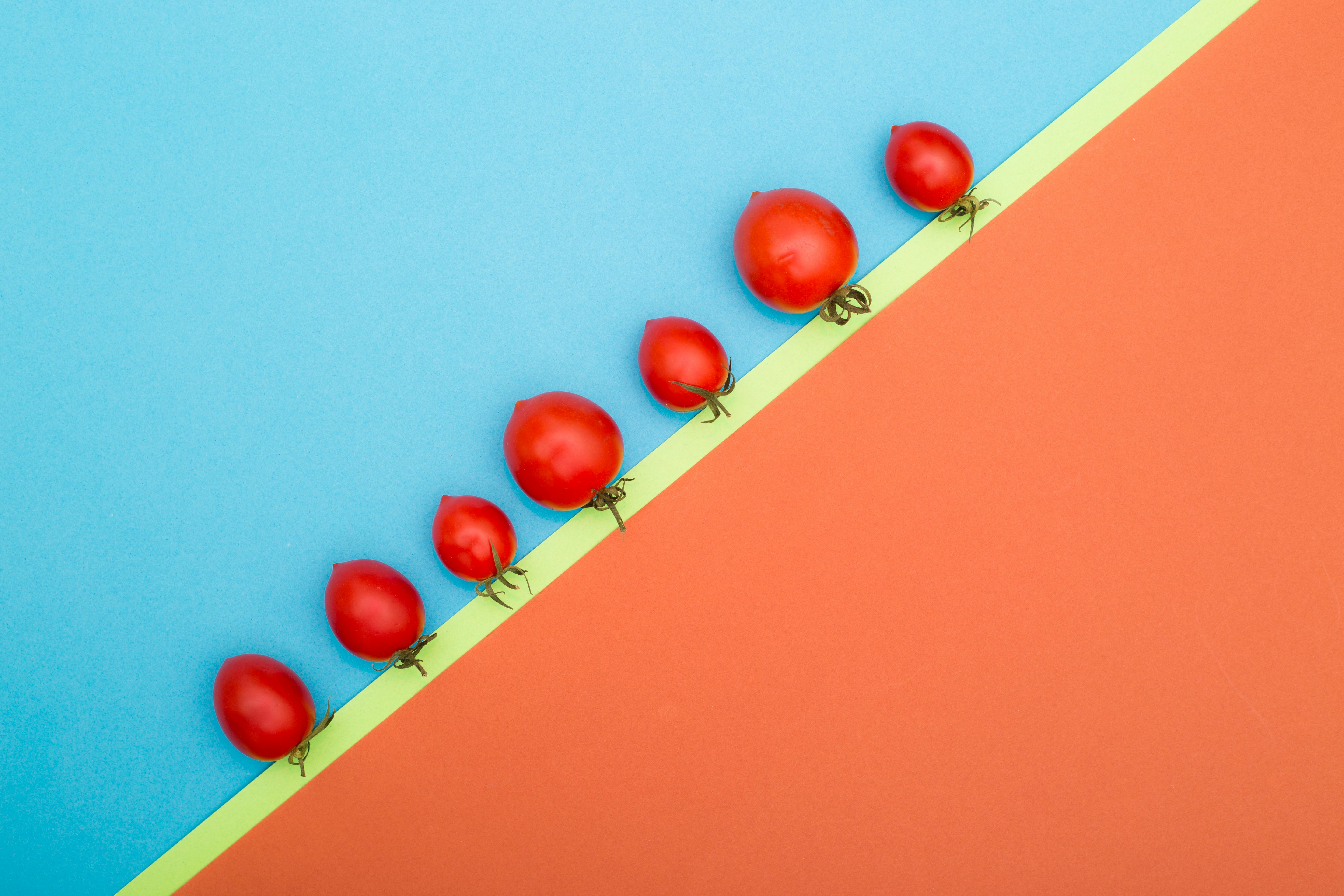 Gratis Livlig arrangement av cherrytomater på en fargerik bakgrunn, som viser frem et abstrakt design. Arkivbilde