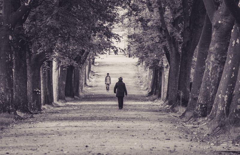 same street shown in different seasons, walking path