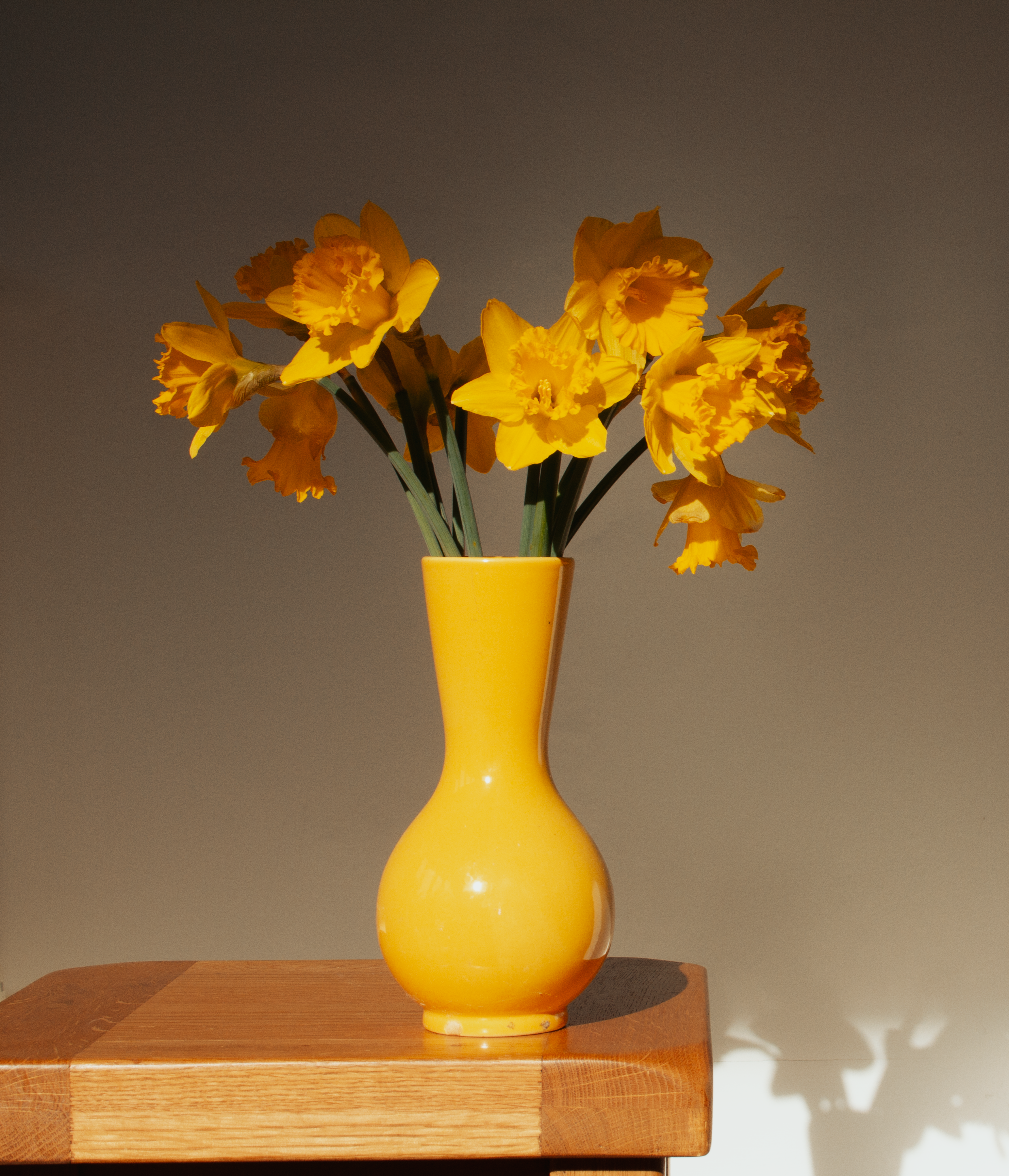 A vibrant display of yellow daffodils in a yellow vase, perfectly lit by natural sunlight.