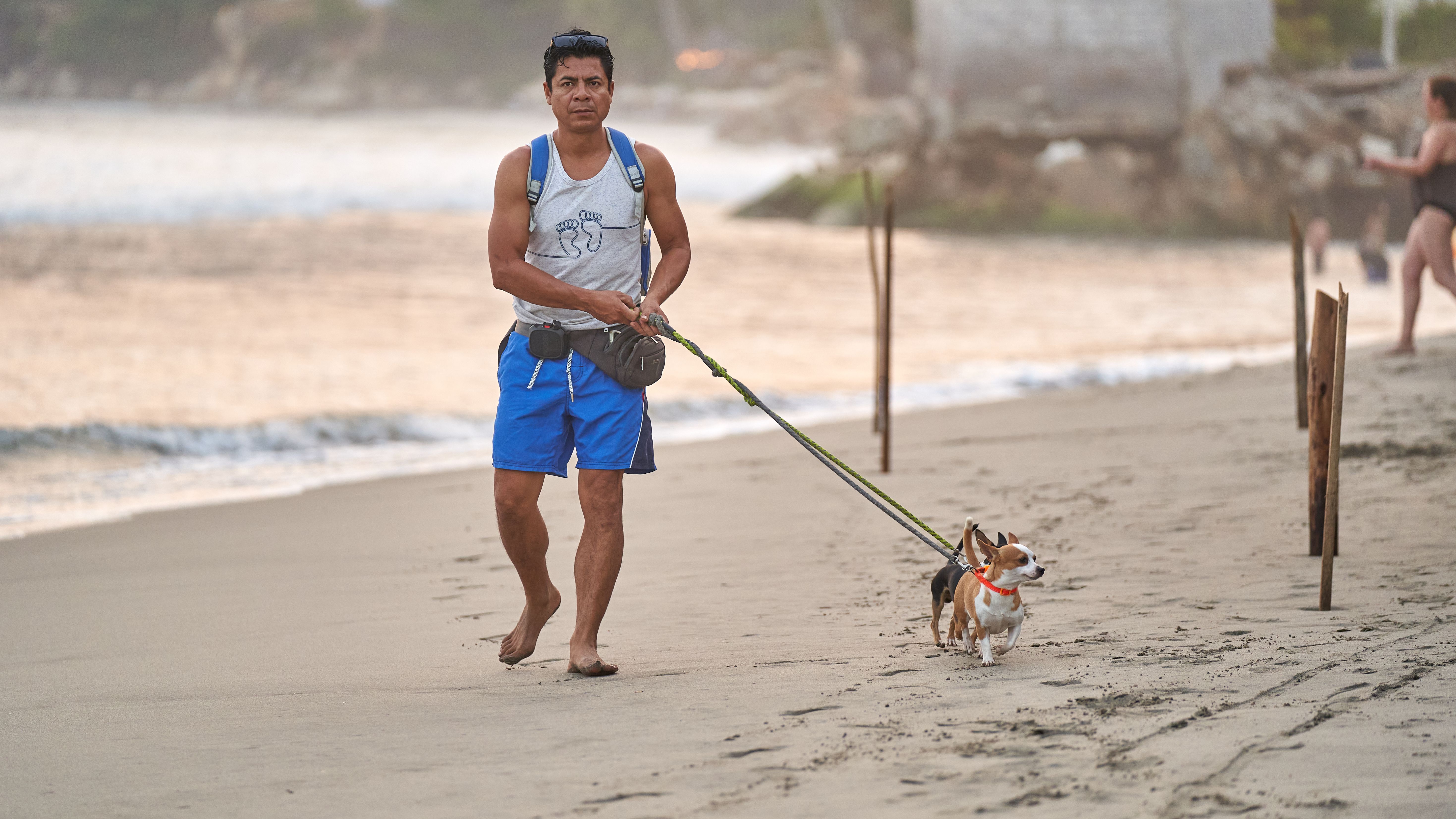 Man Walking Dog on a Sandy Beach at Sunset · Free Stock Photo