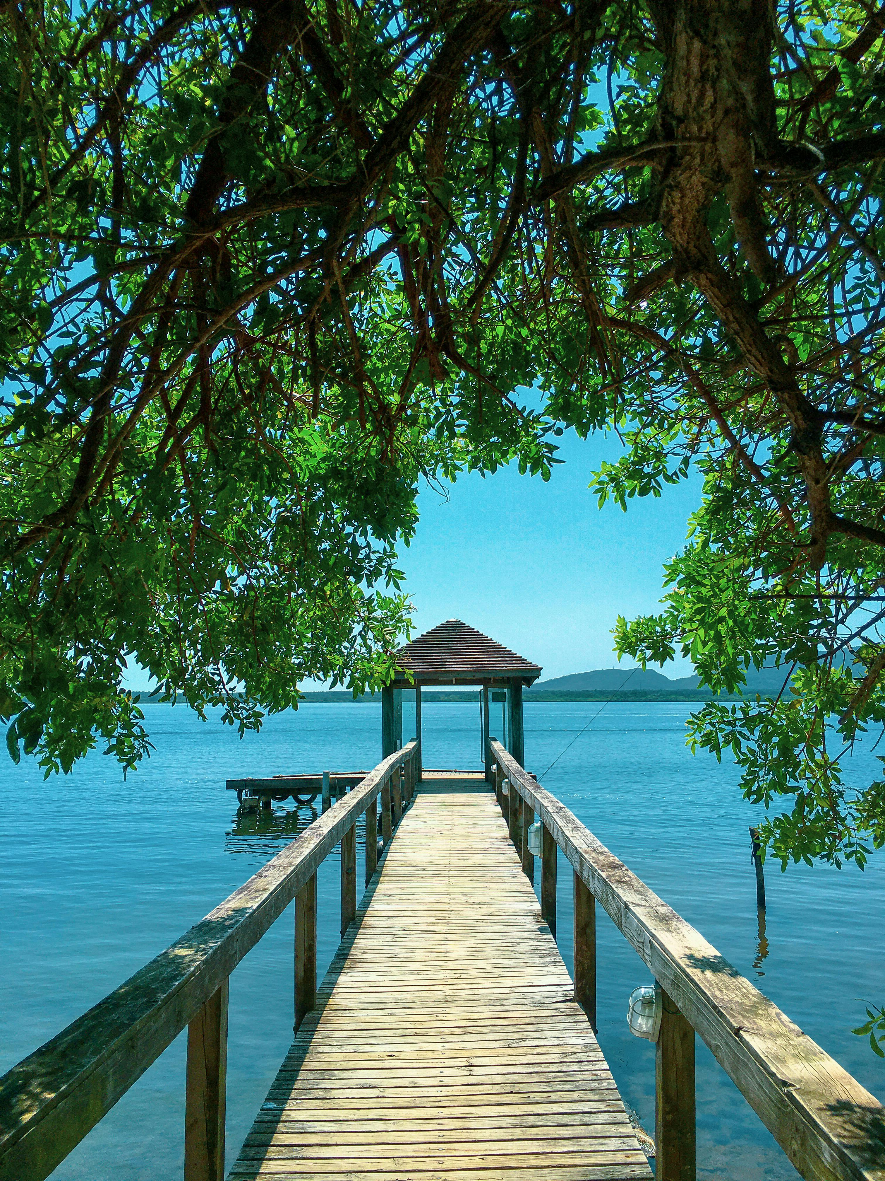 Pier · Free Stock Photo