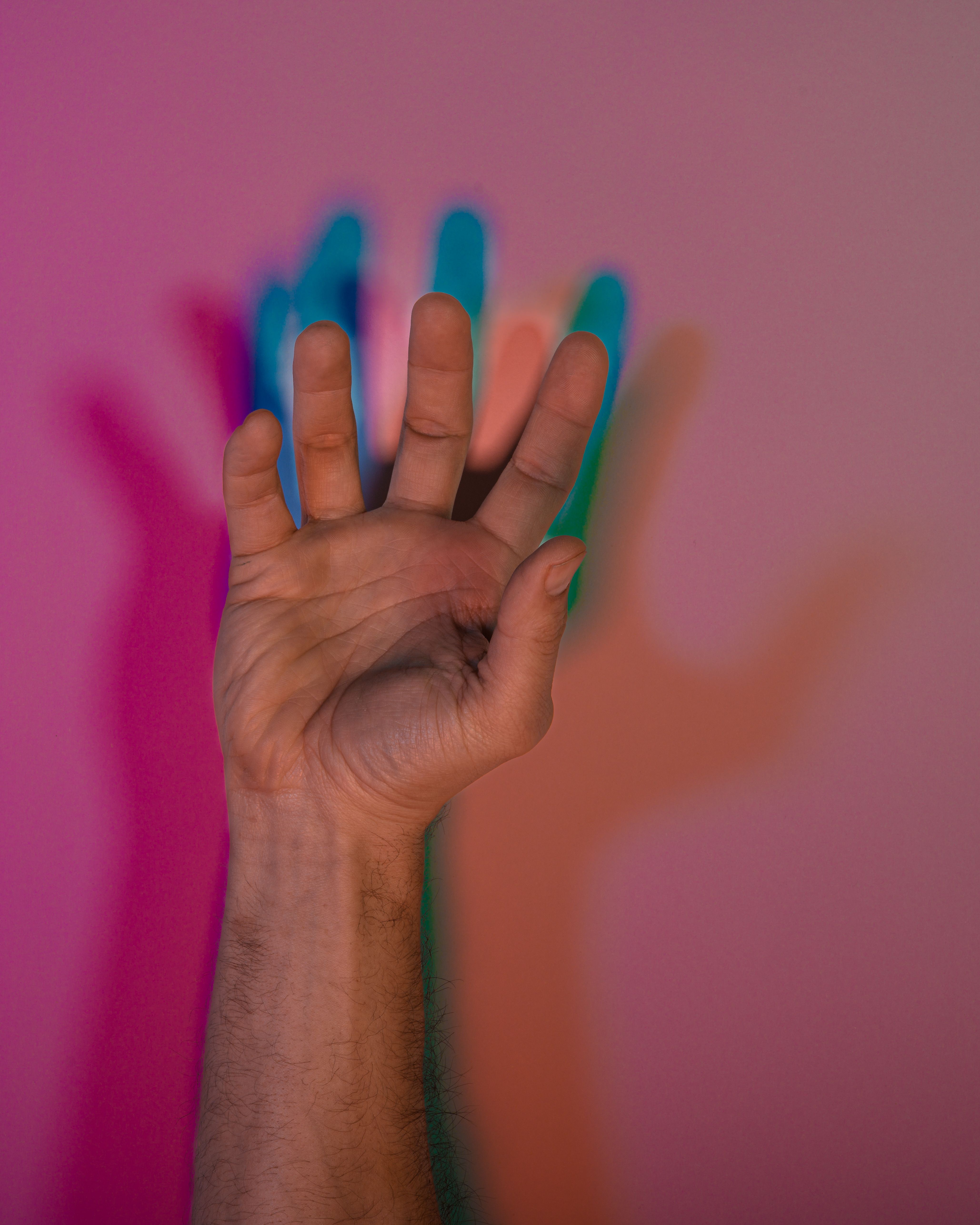 Colorful Hand Shadow Against Pink Wall · Free Stock Photo