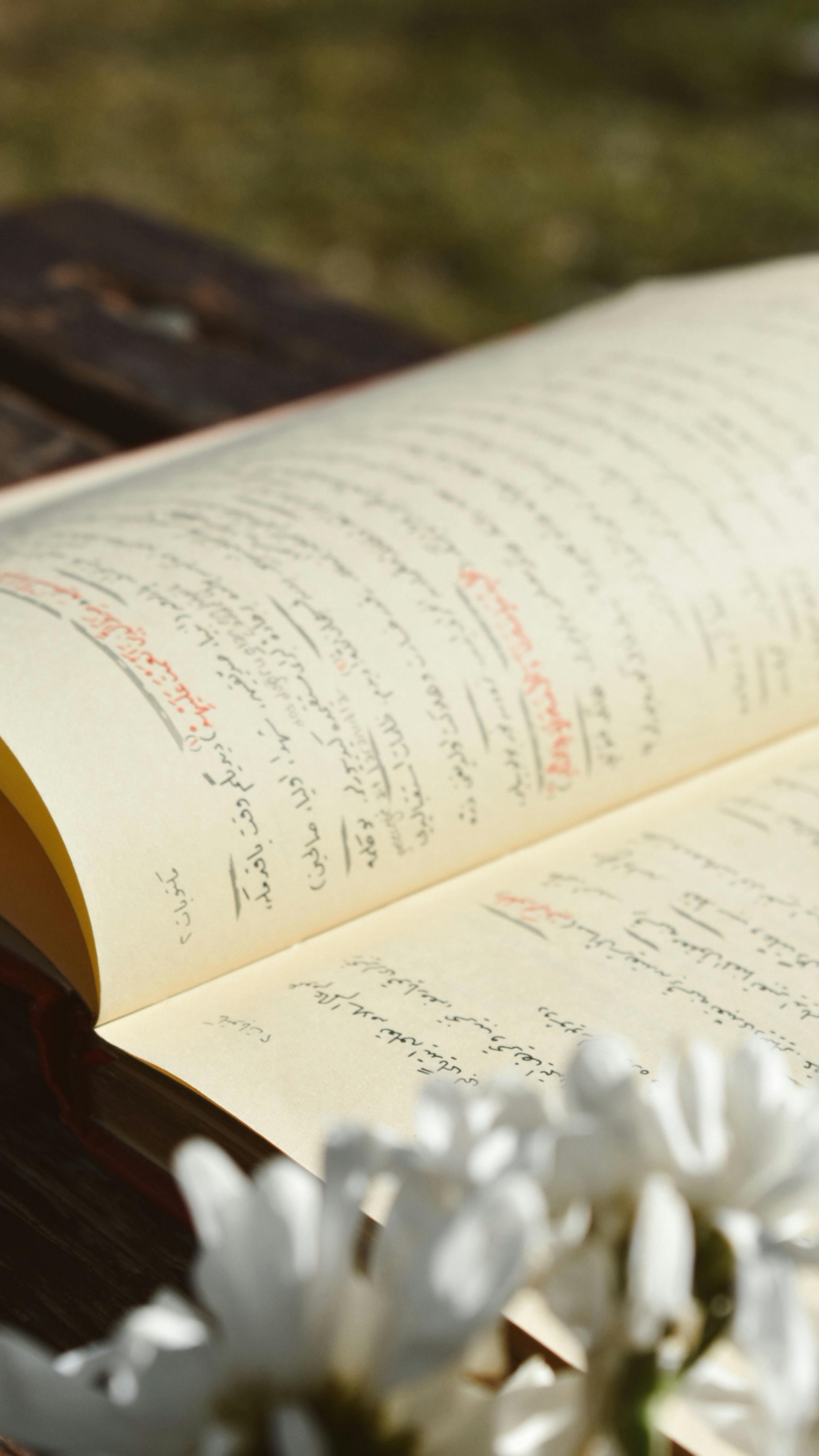 An open book with floral foreground in a sunny, peaceful outdoor setting.