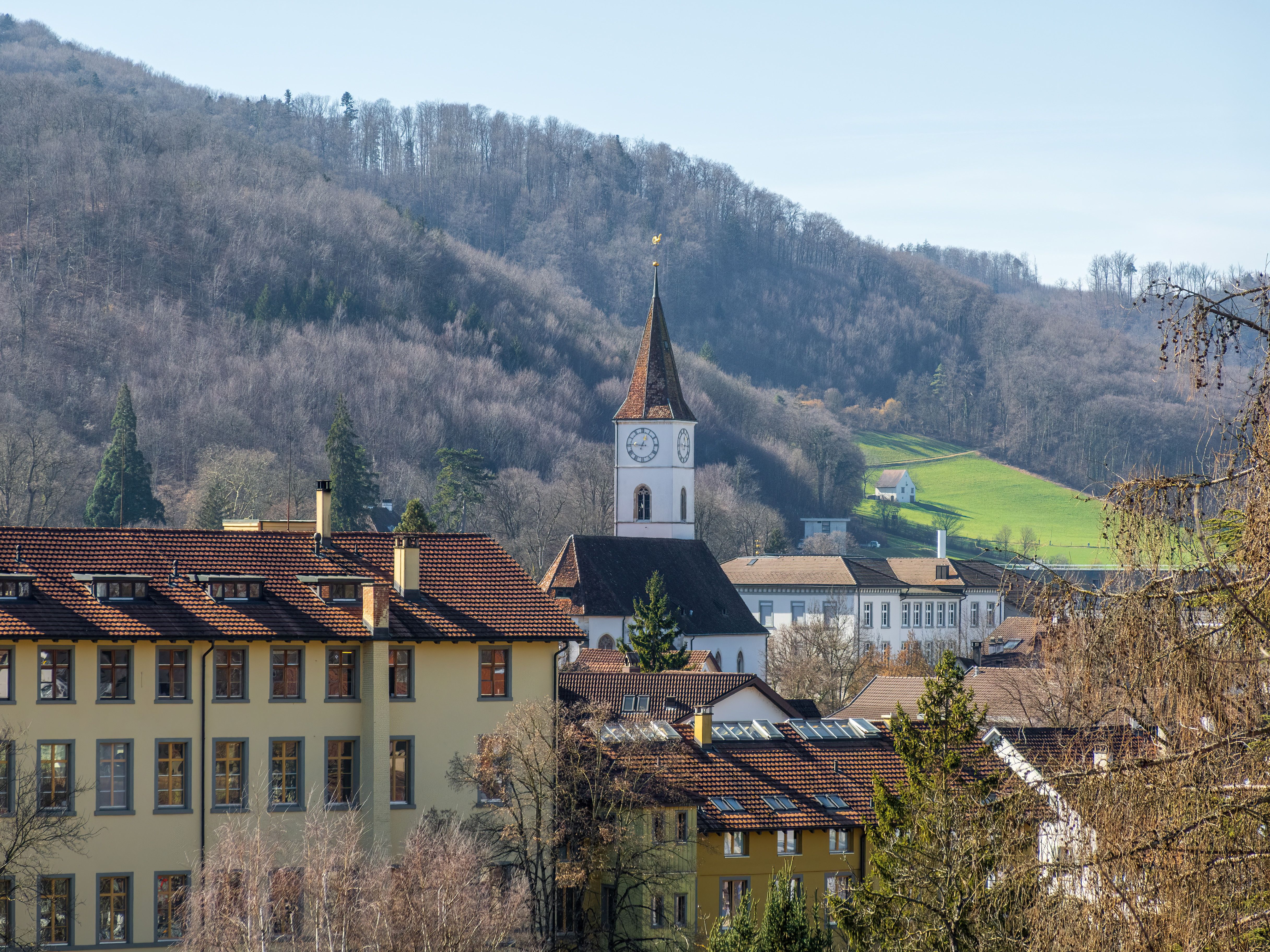Langenegg