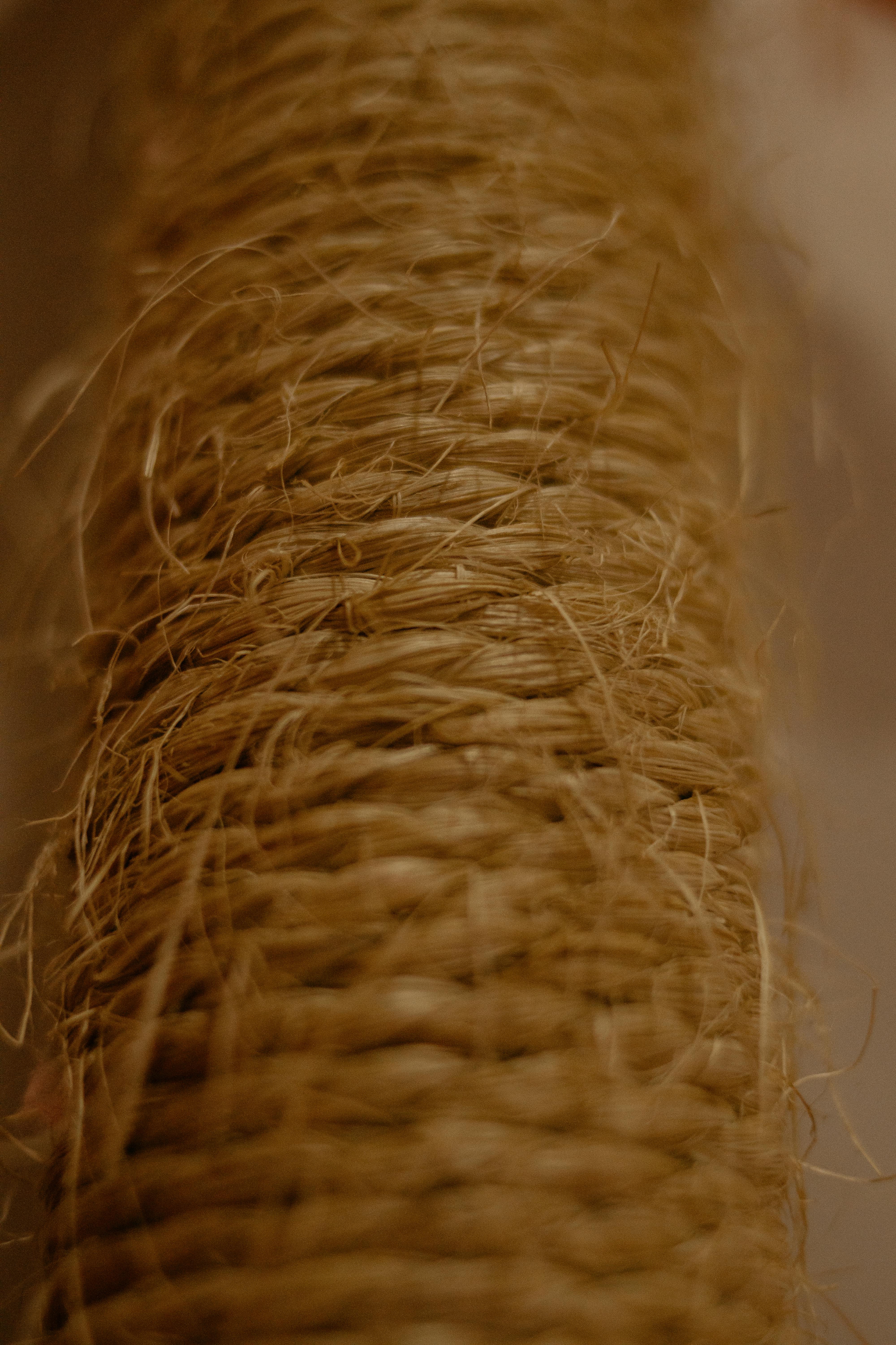 Free Detailed close-up of a textured brown twine, showcasing its natural fiber weave. Stock Photo